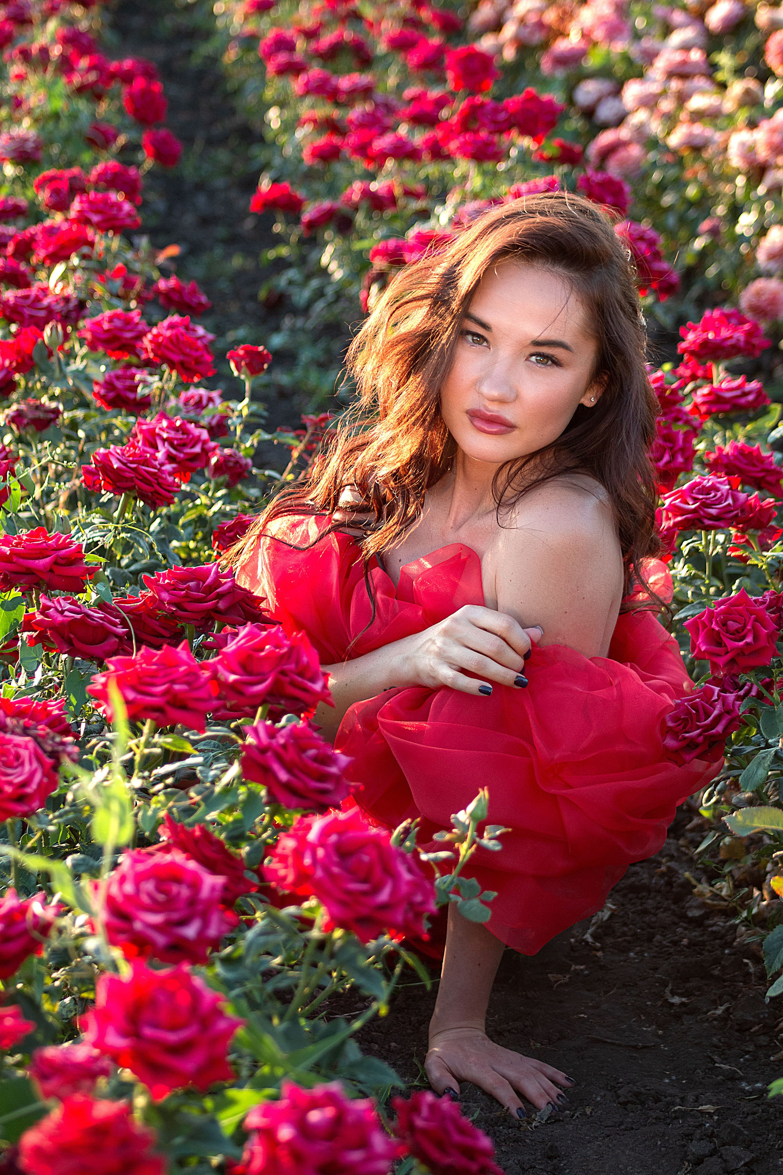 Розы. Детский и семейный фотограф в г. Бельцы