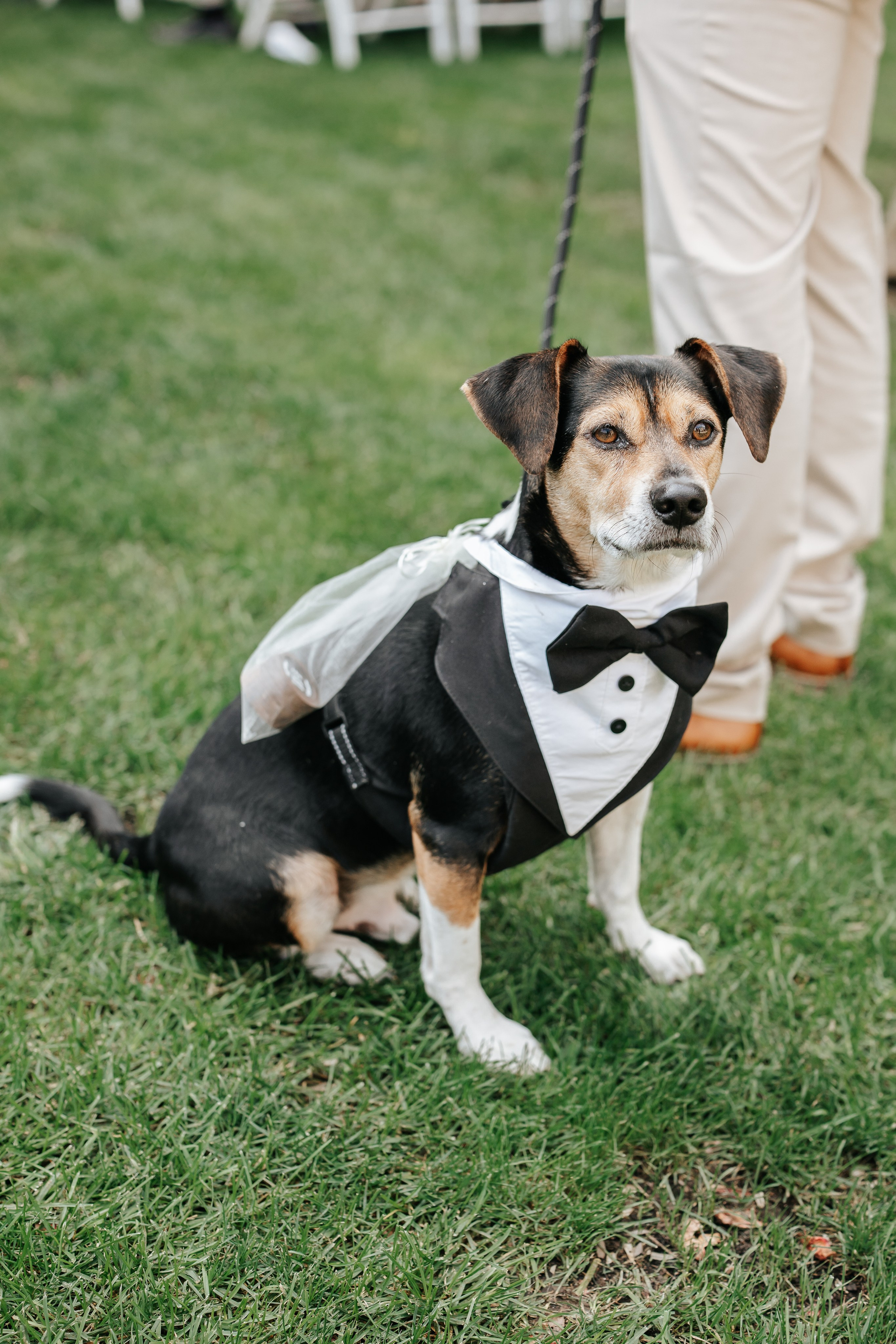 Marta+Adria, 27.09.2025, Can Caballe. Fotógrafa de bodas en Cataluña