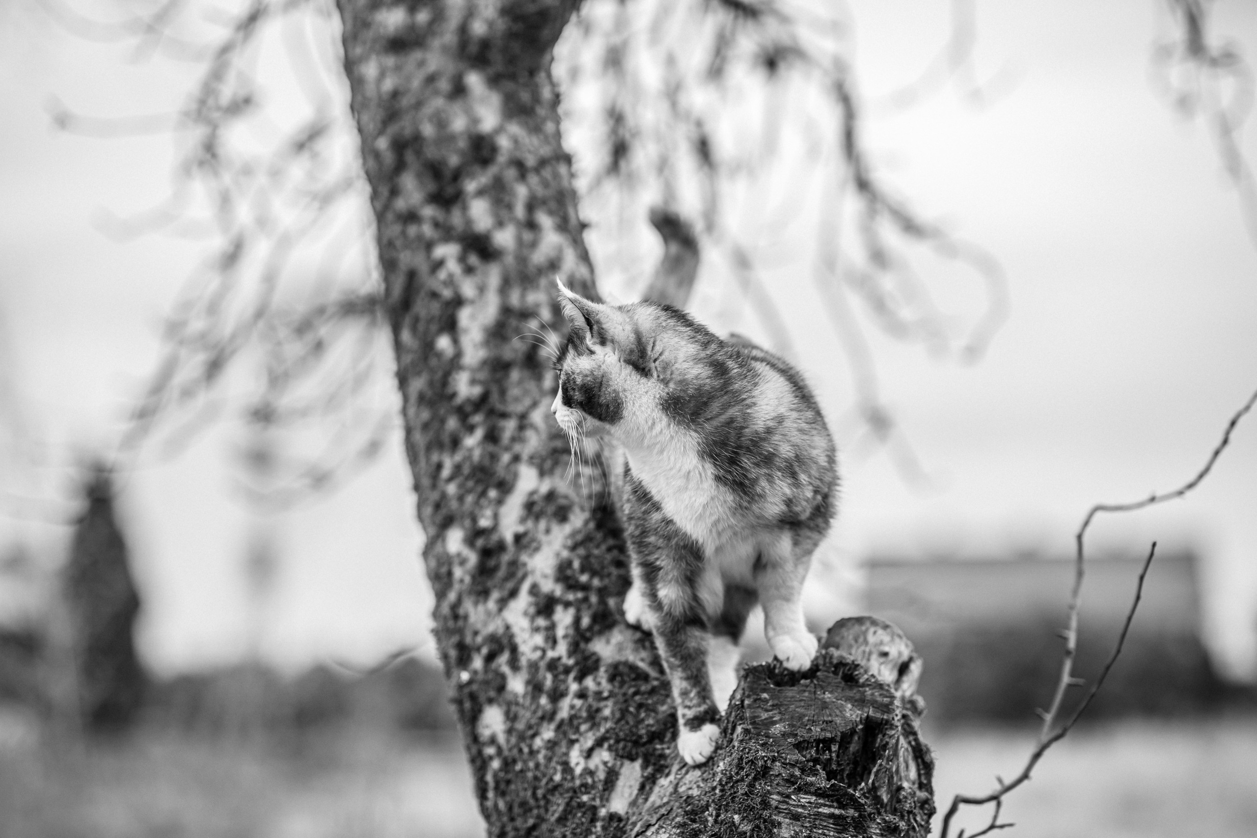 Thomas. Hochzeitfotograf in Bielefeld