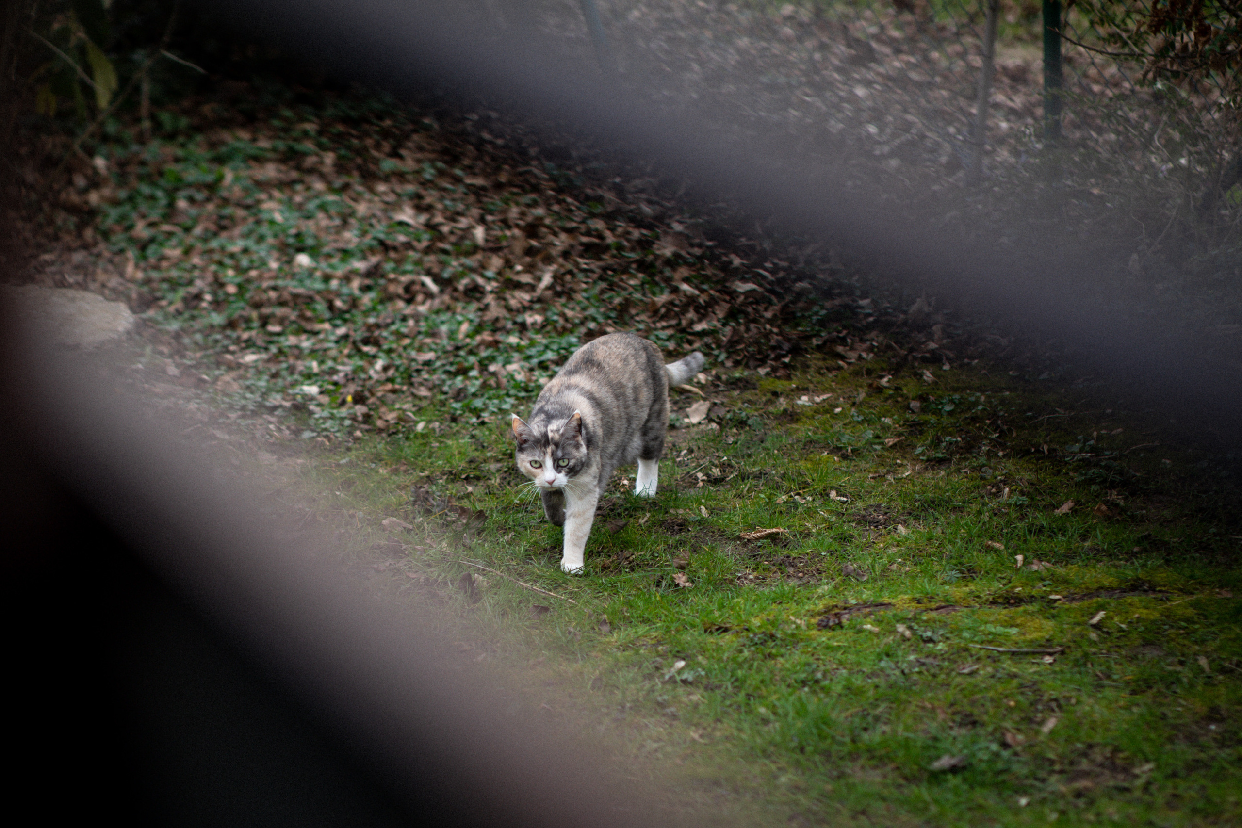 Thomas. Hochzeitfotograf in Bielefeld