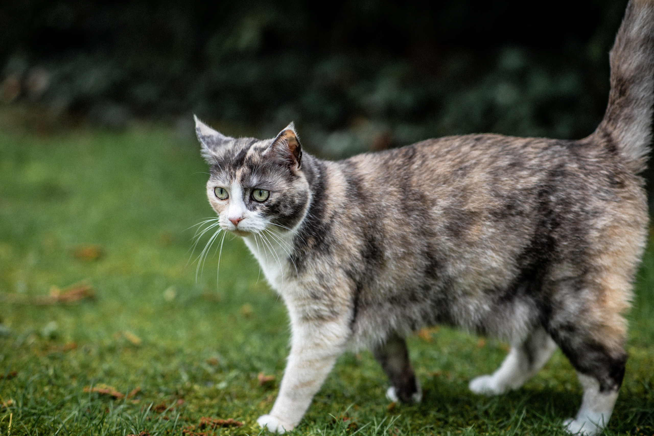 Thomas. Hochzeitfotograf in Bielefeld