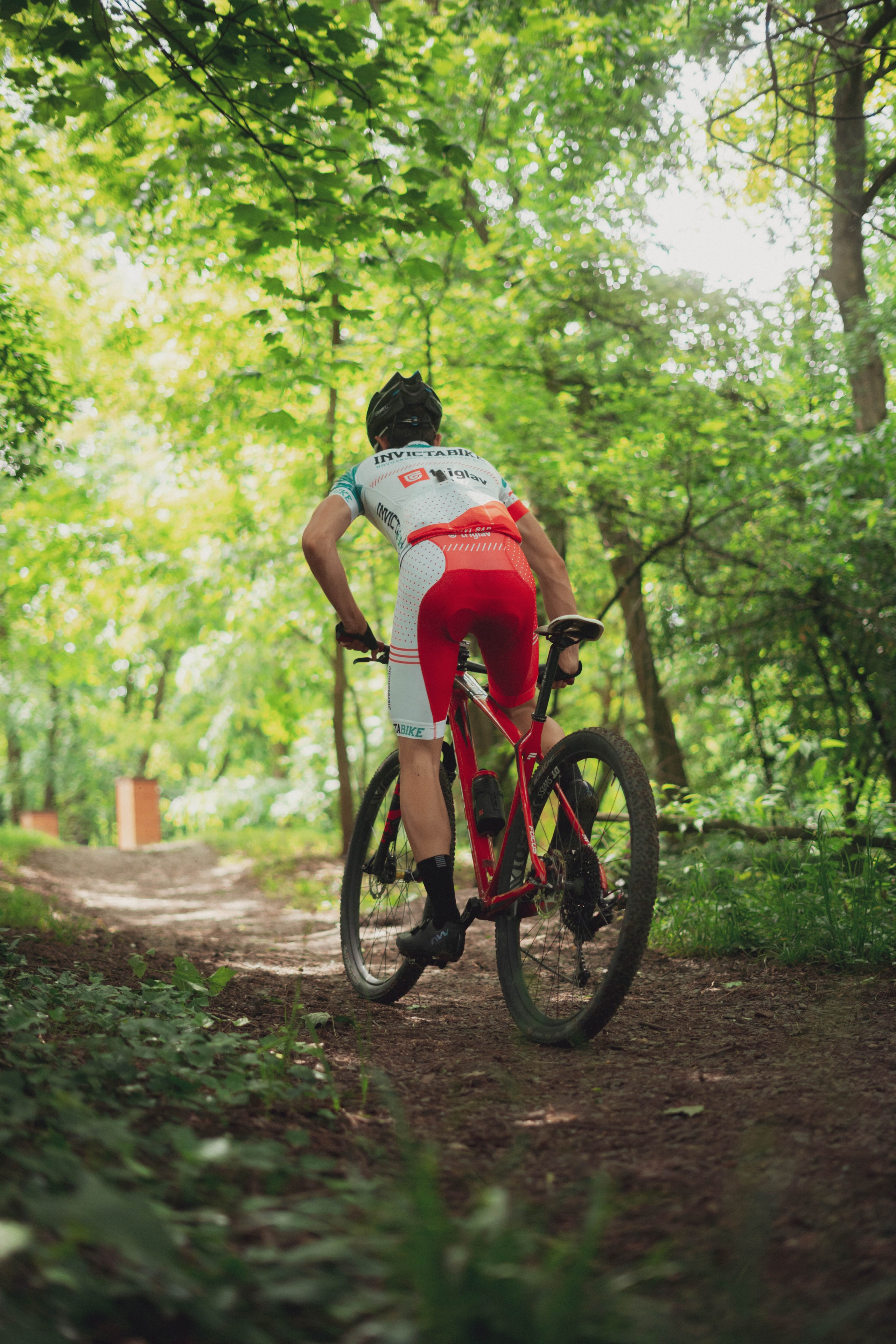 Redbull. Žukov Studio