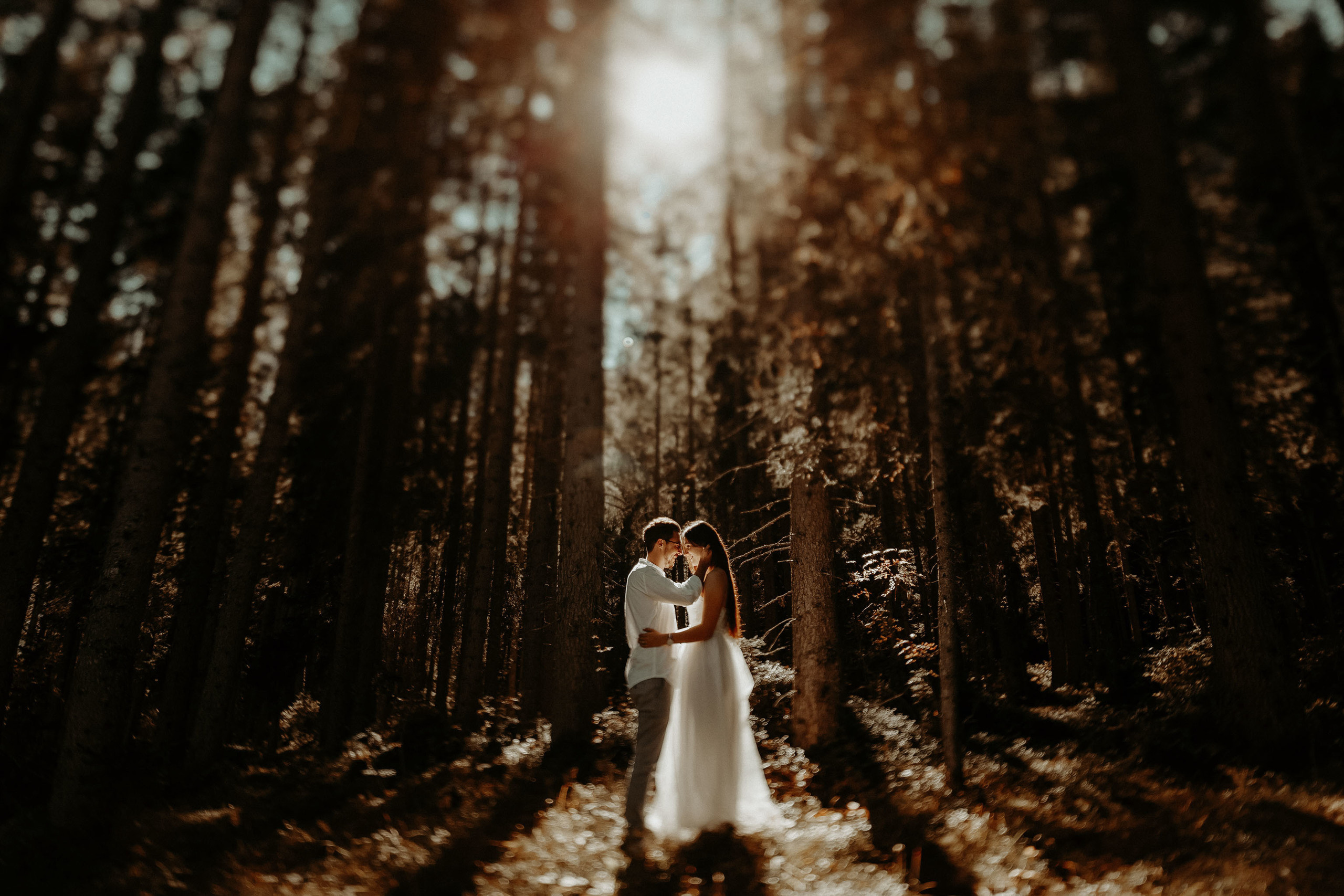 Zbor în culori de dragoste -Italia-. Servicii Foto Video în Chișinău și Europa ID-Brothers