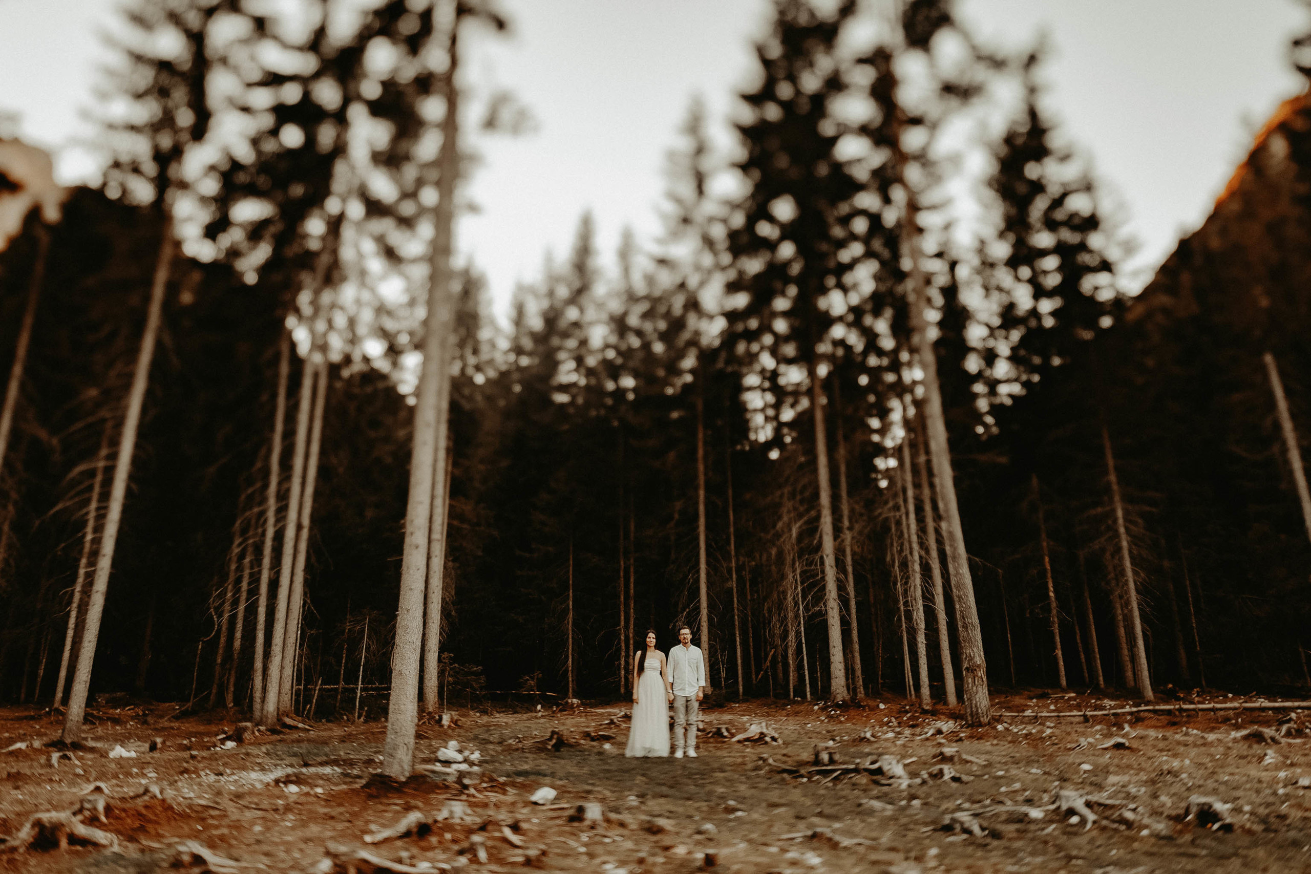 Zbor în culori de dragoste -Italia-. Servicii Foto Video în Chișinău și Europa ID-Brothers