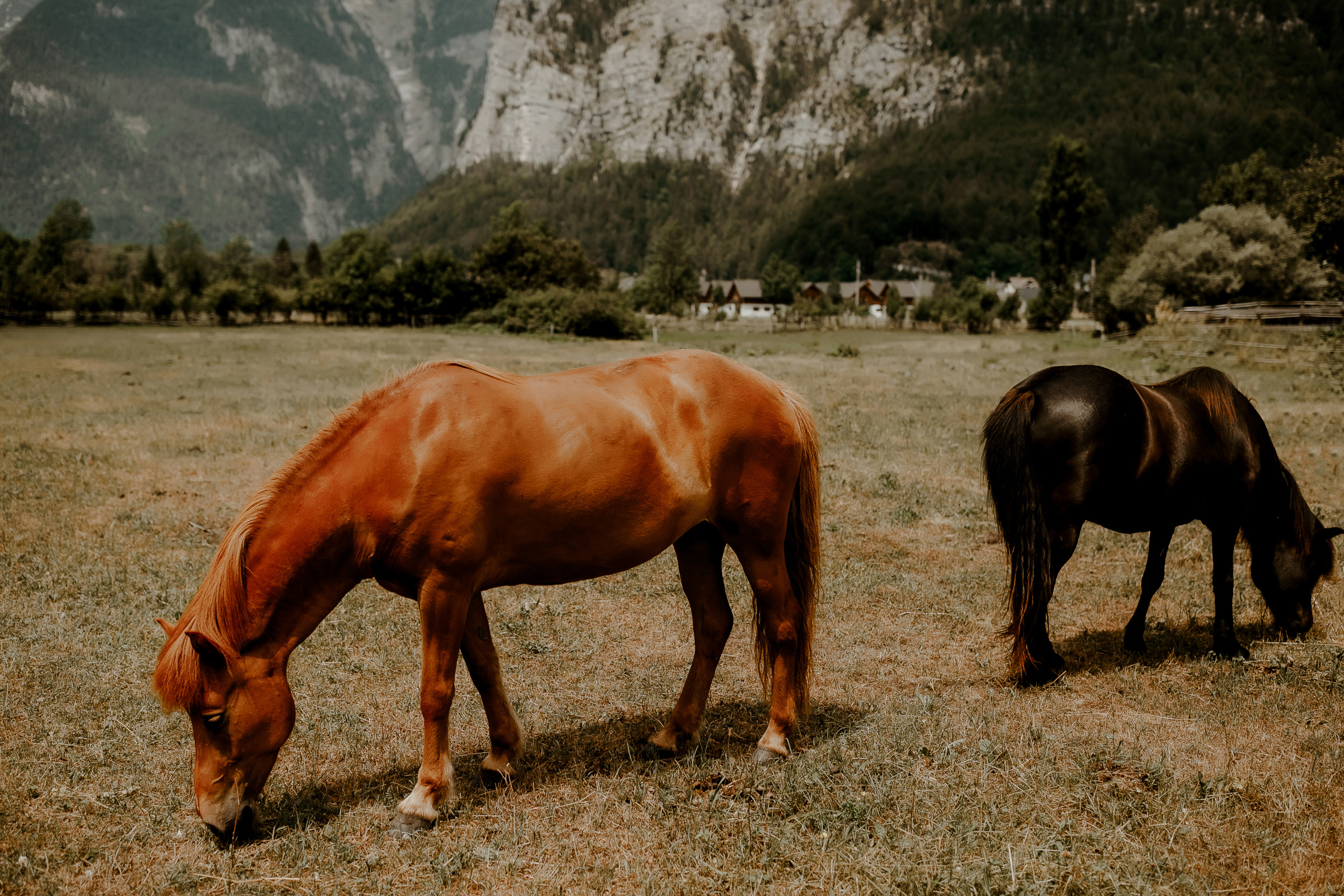 Land of love -Austria-. Servicii Foto Video în Chișinău și Europa ID-Brothers