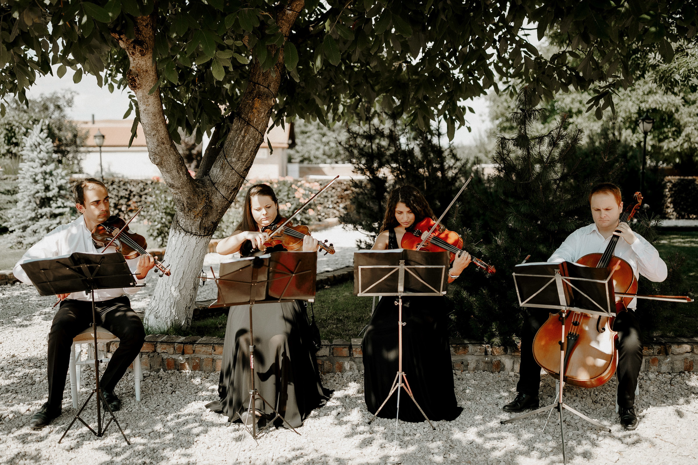 Unda iubirii  -Romania-. Servicii Foto Video în Chișinău și Europa ID-Brothers