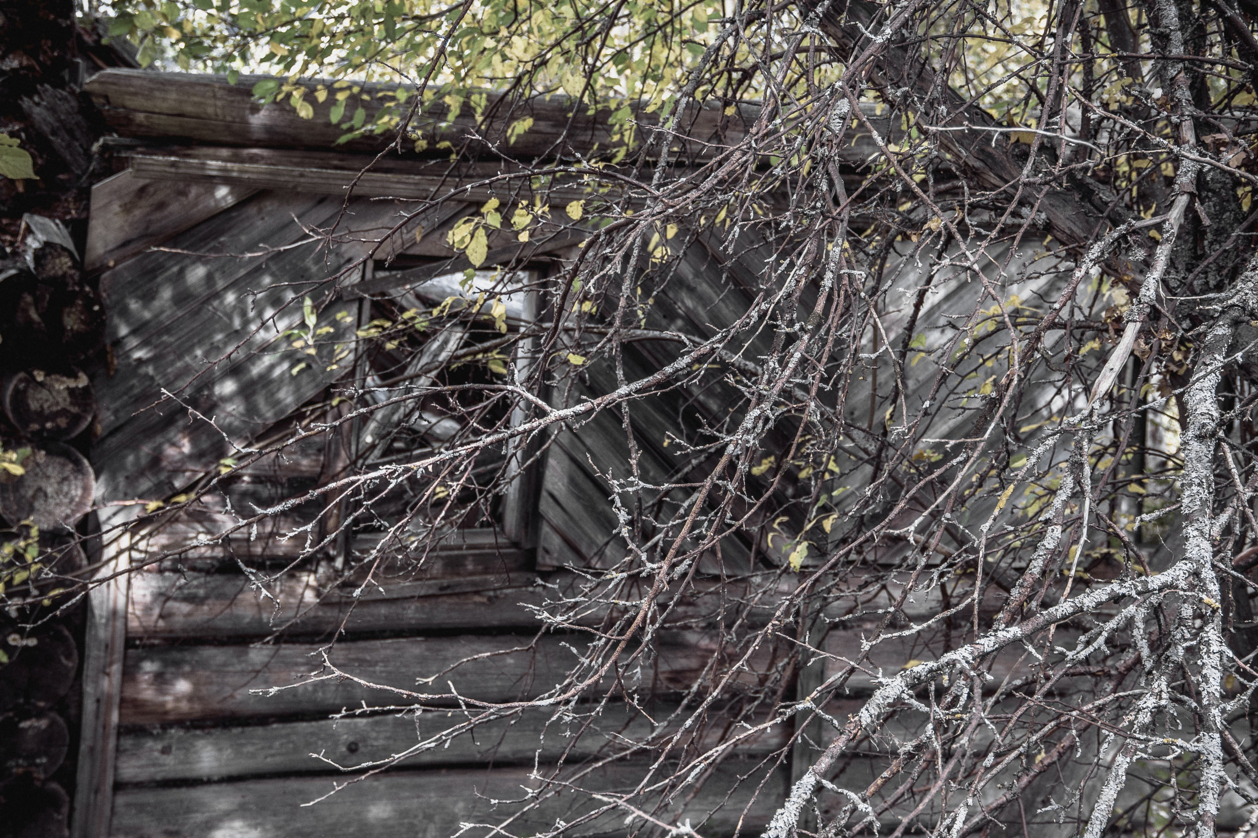 Заброшенная Россия: Мантурово. Фотограф в Германии — Мария Чистякова