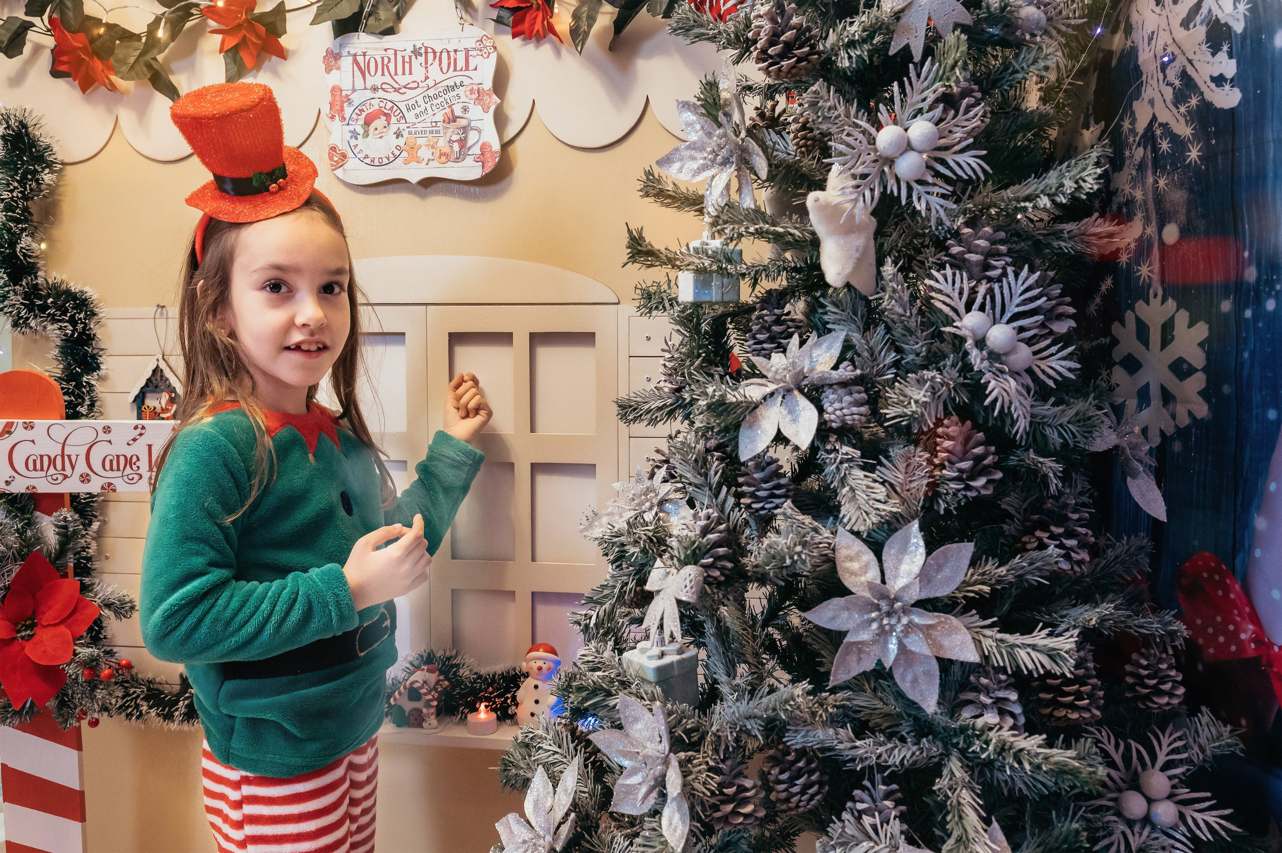 Sedinta Craciun Sofia