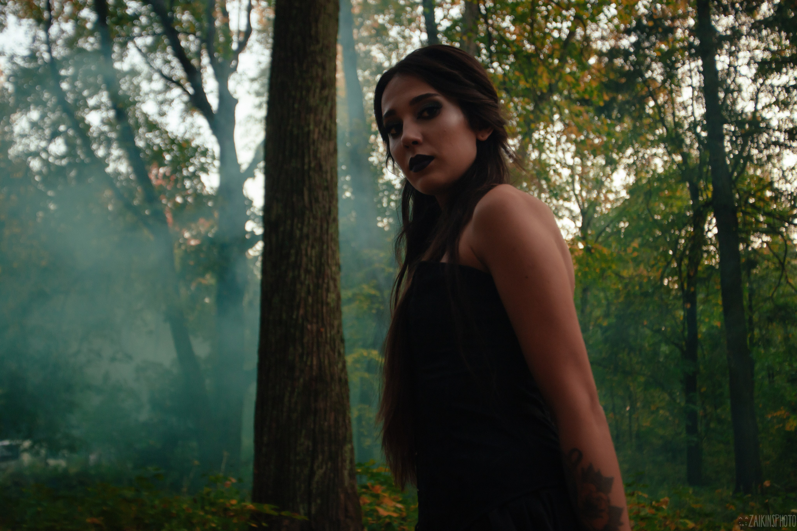 The Dark Autumn. Main