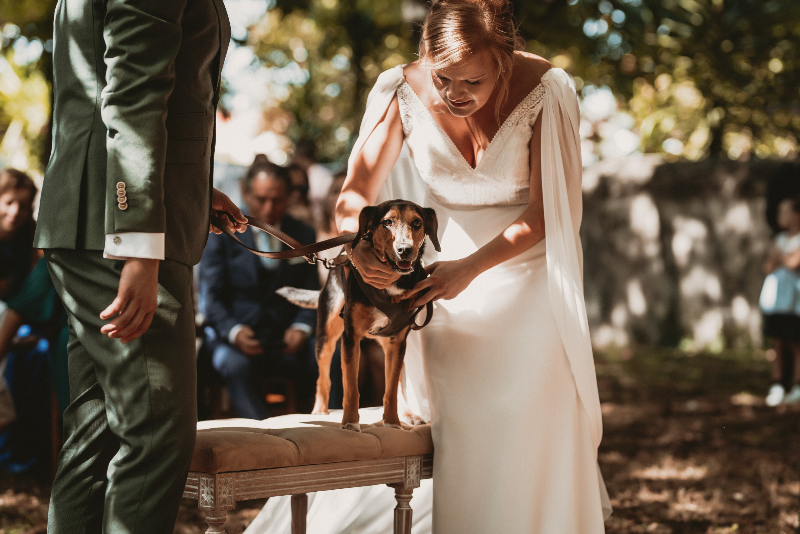 São & Luís. Photographe de mariage et de famille à Braga — Alexandra Mieres Photography