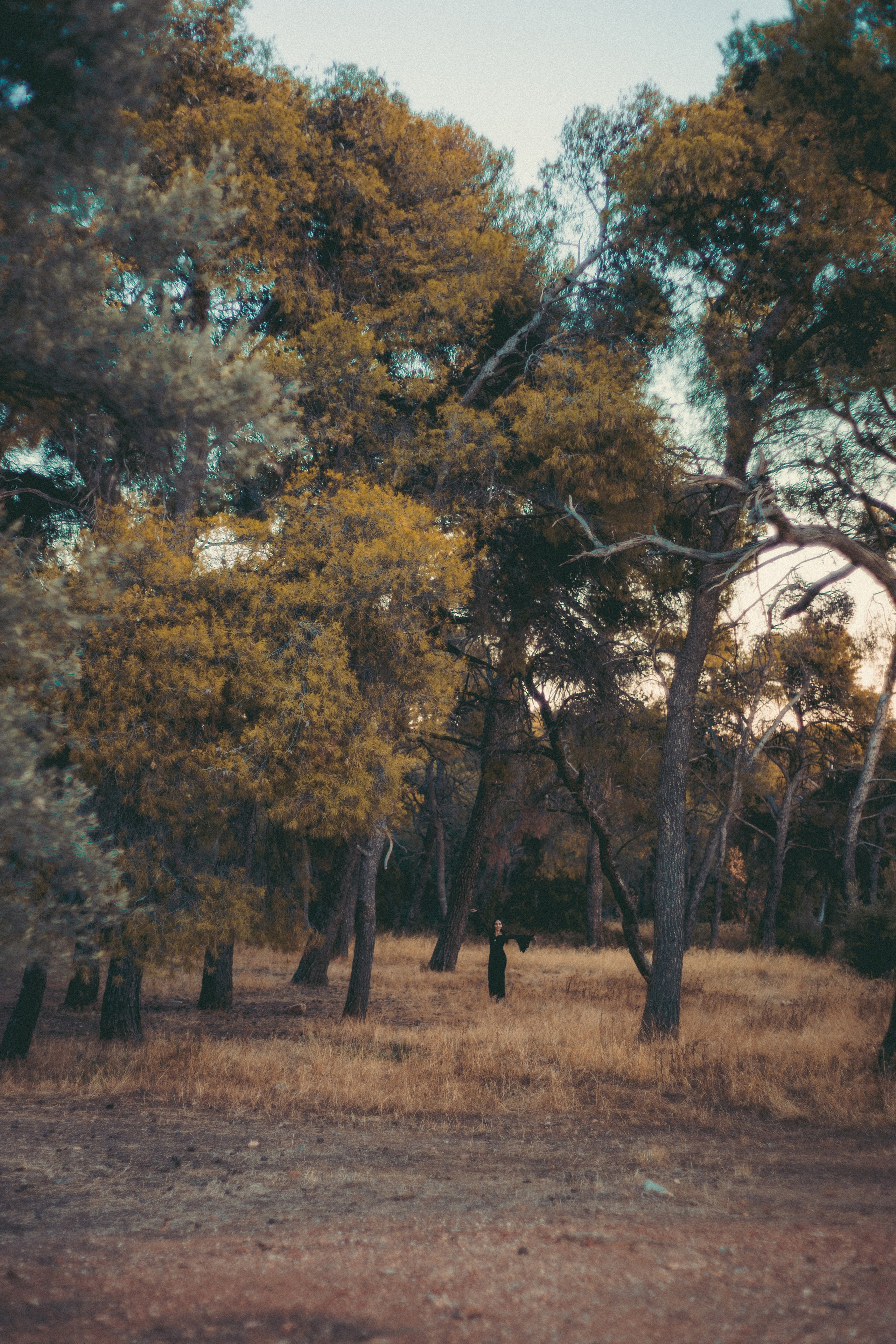 Nadia as the Forest witch. Photographer in Greece Kristina