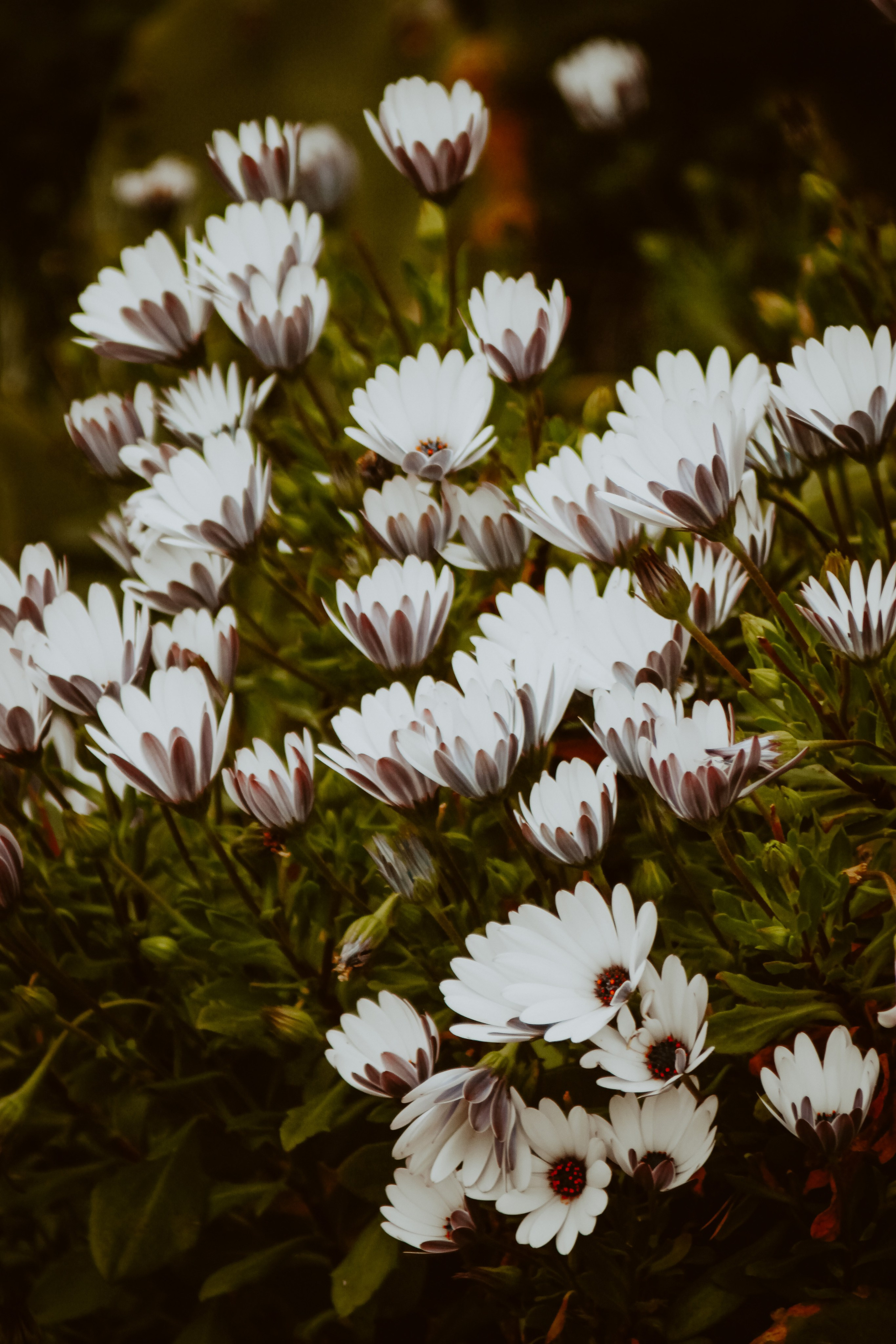 People. Photographe à la Seyne sur Mer, Var