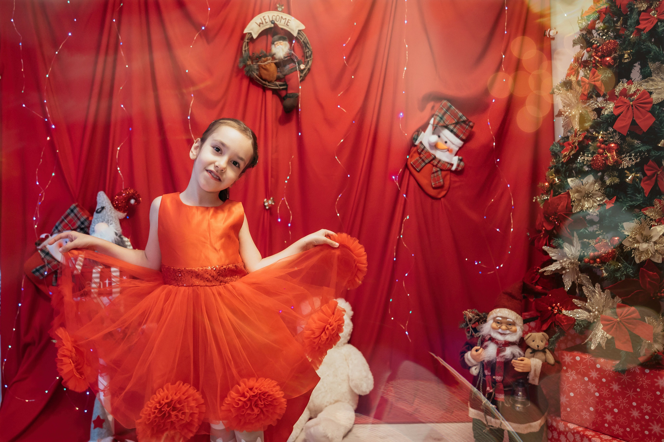 Sedinta Craciun Sofia