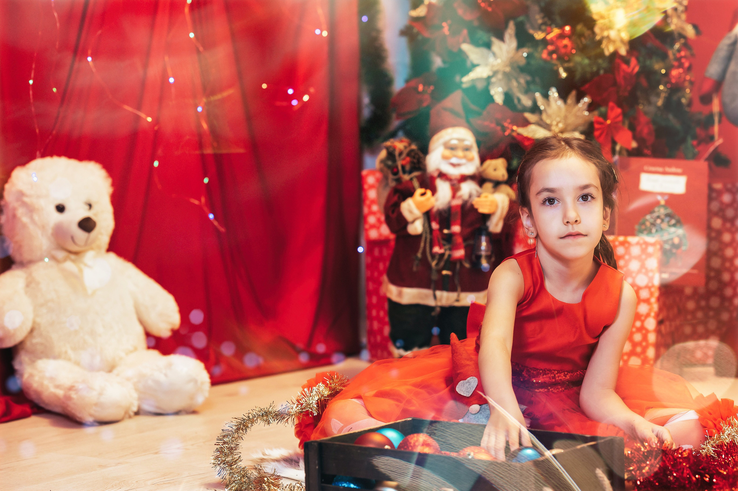 Sedinta Craciun Sofia