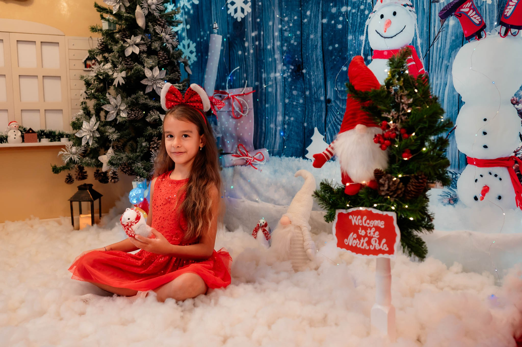 Sedinta Craciun Alina