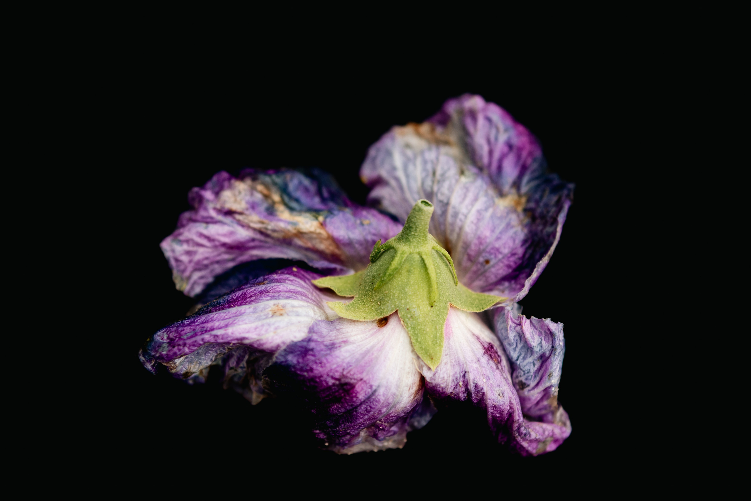 Life is beautiful at every stage. Look Around You