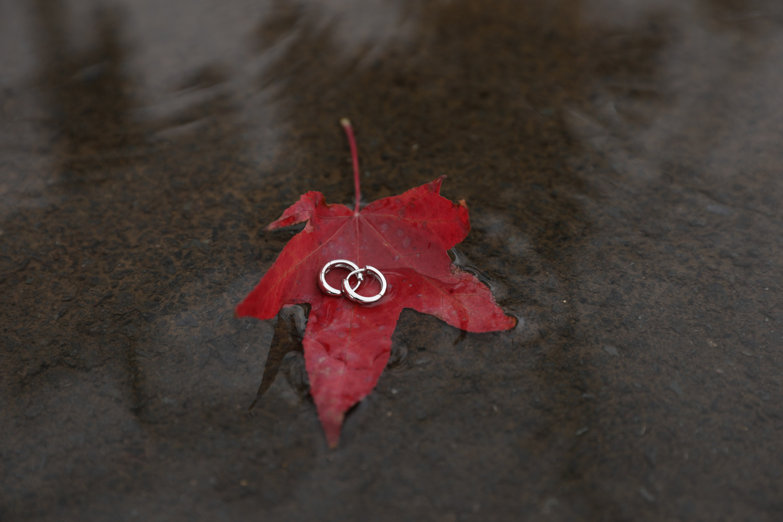 Business Photography — Candid & Professional Brand Stories. Lifestyle & Documentary Photography in Bristol, Bath & London — def0cused