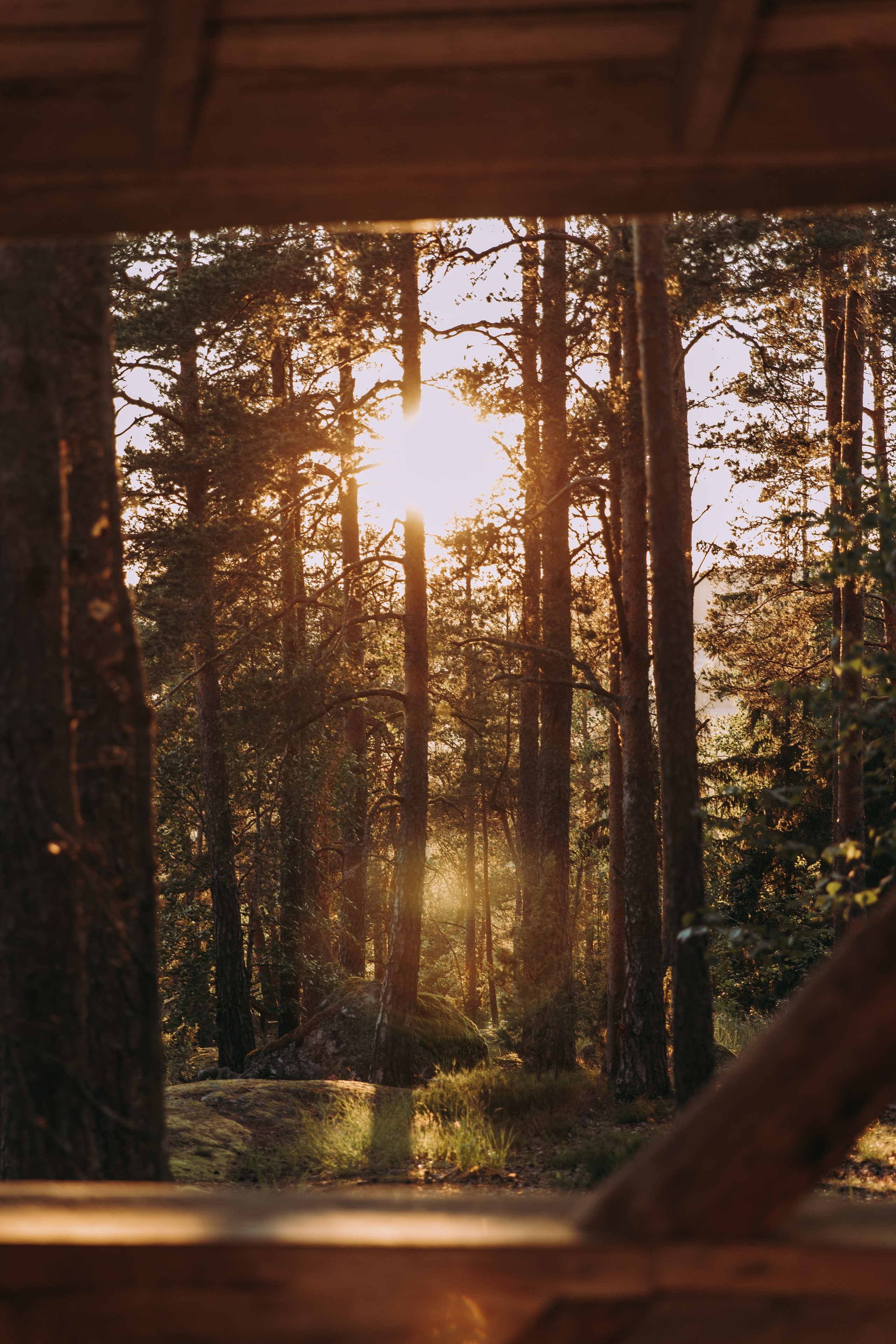 J & J. Valokuvaaja Itä-Uudellamaalla Viktoria photography