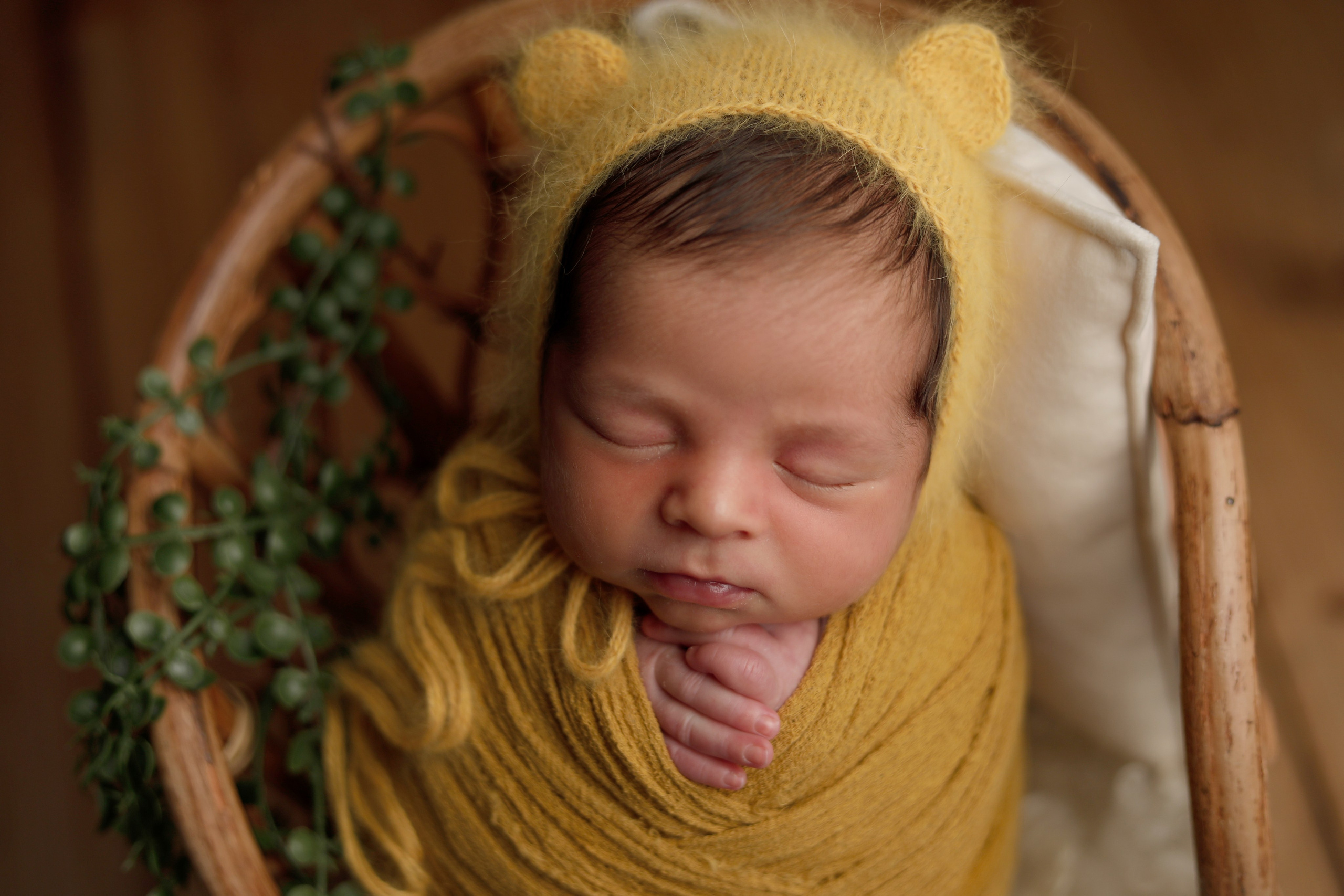 Alicia Beatrice Predoiu. Neugeborenen Fotograf Ulm (Umgebung)