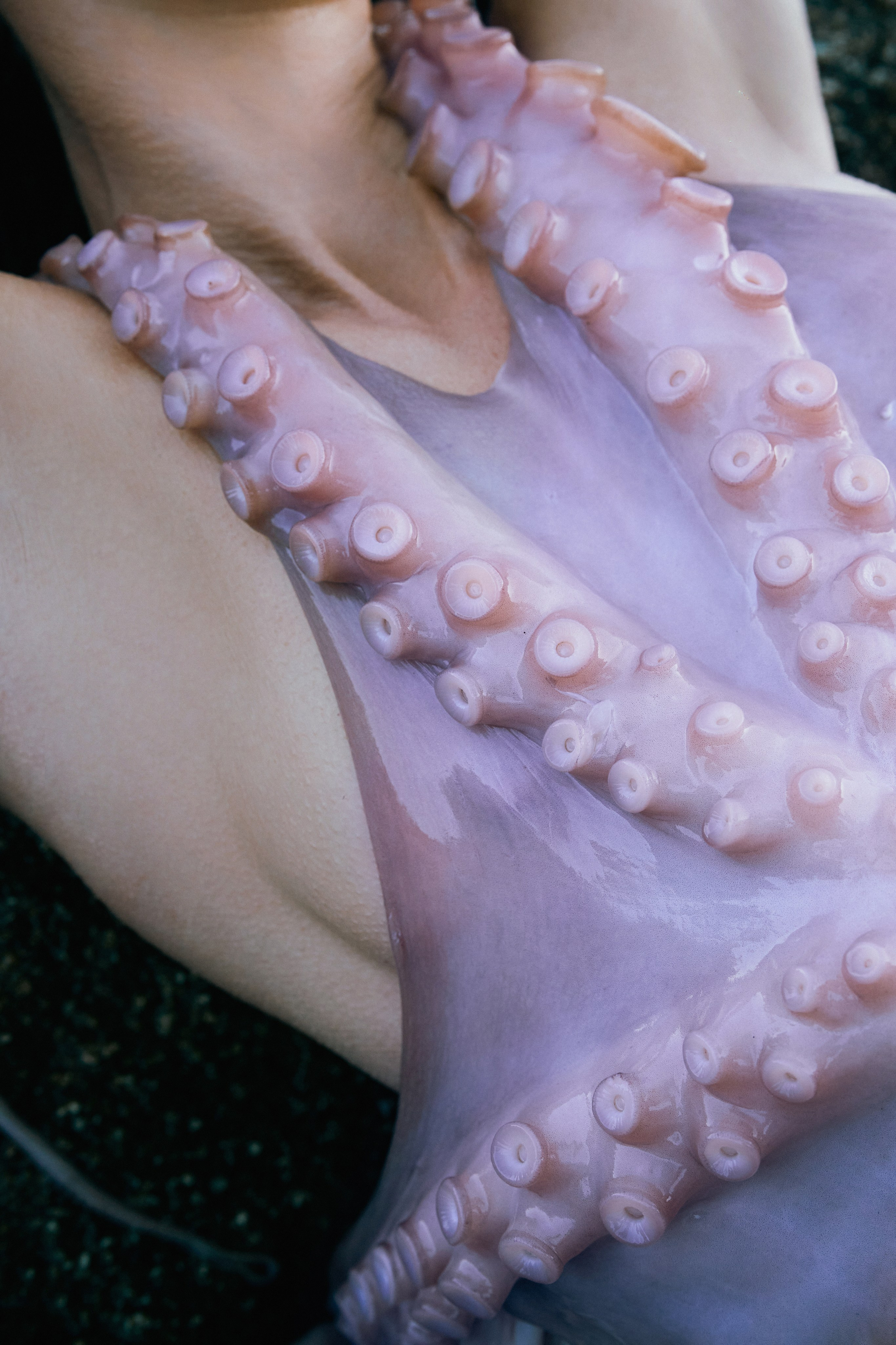 Pulpo. Фотограф в Барселоне Жанна Захарченко