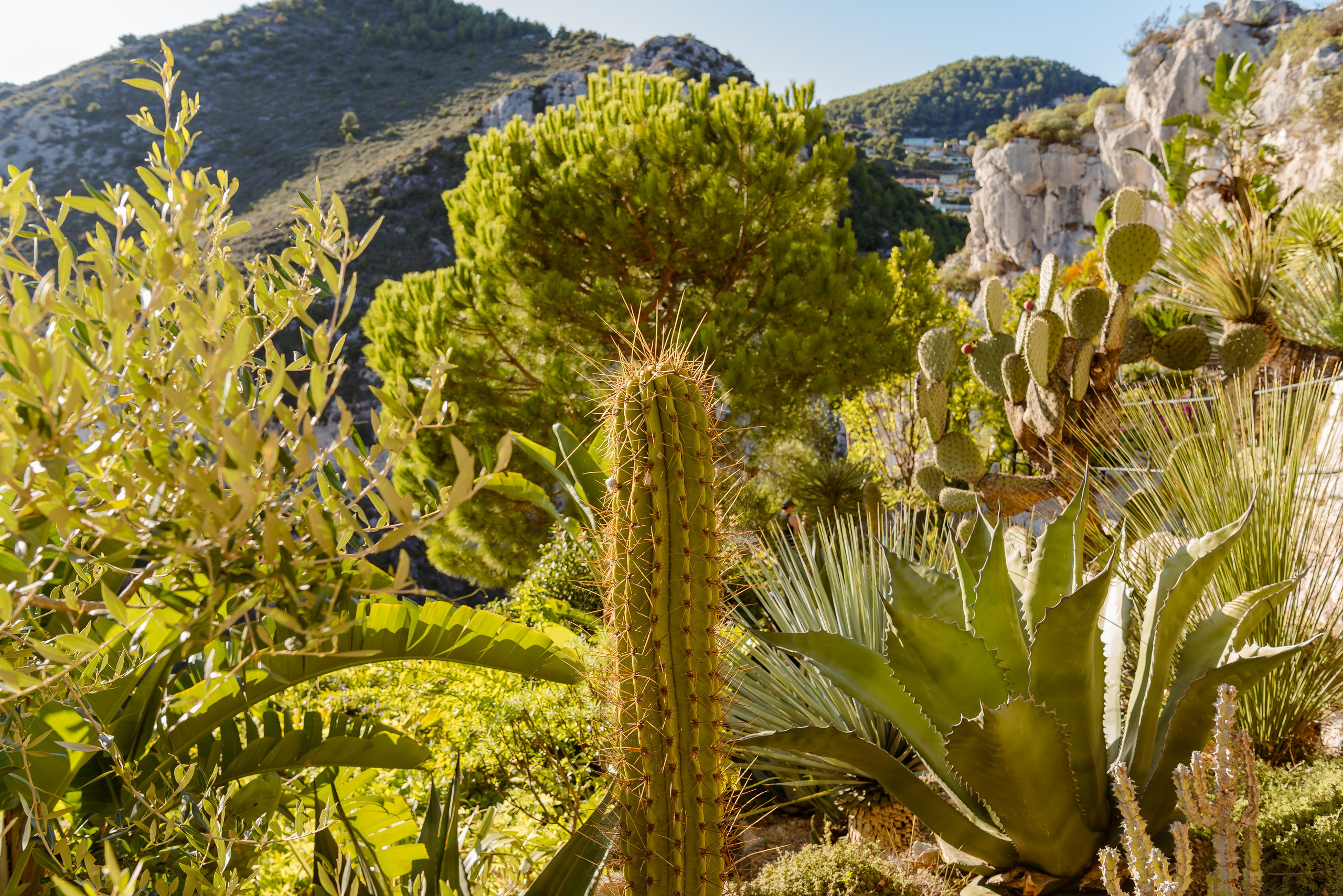 Natalia. Eze. MARIA VALUEVA Photographer in Nice, Cannes, Monaco, France, Europe, Istanbulm Turquie