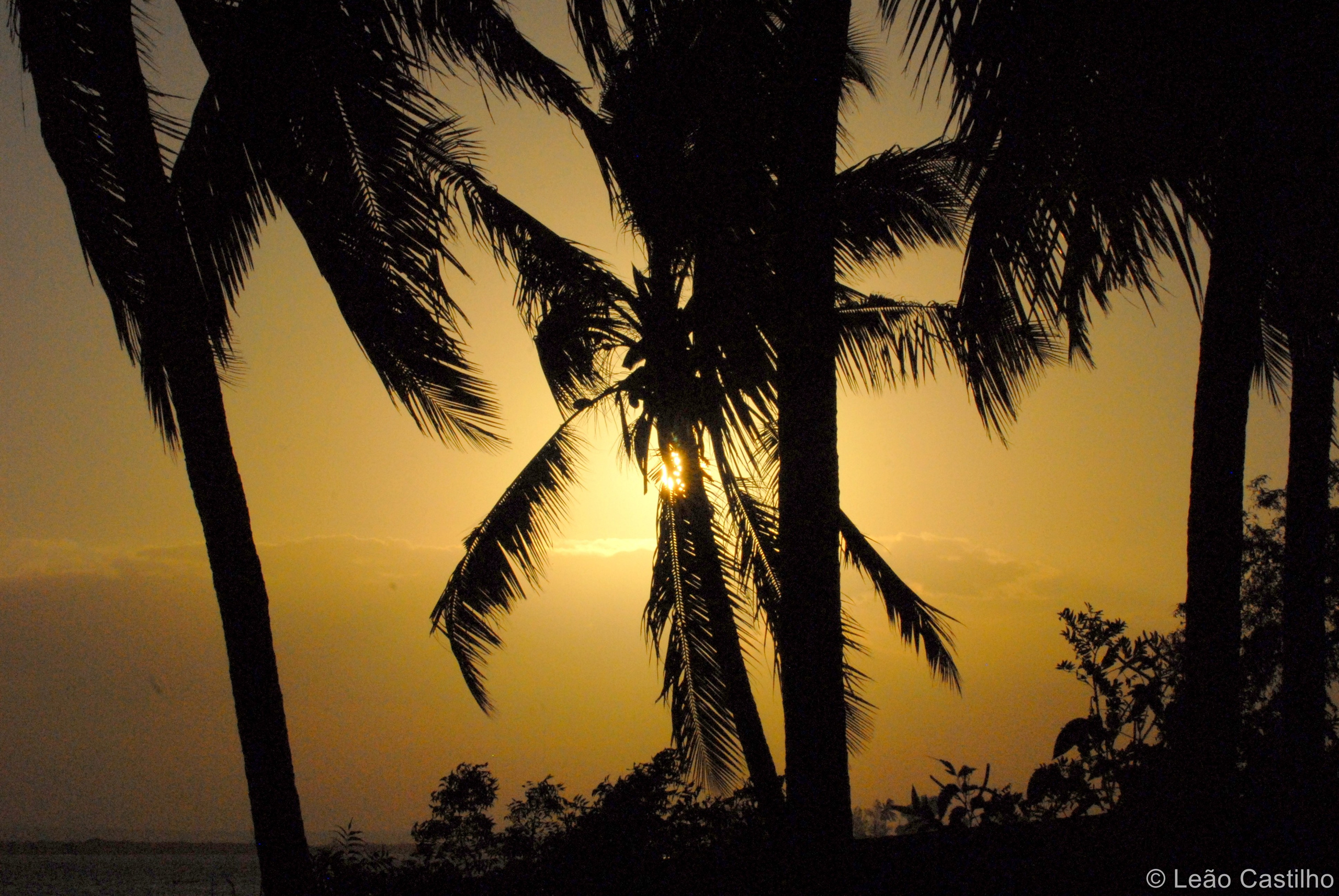 Photos from Mozambique. Simbahalu