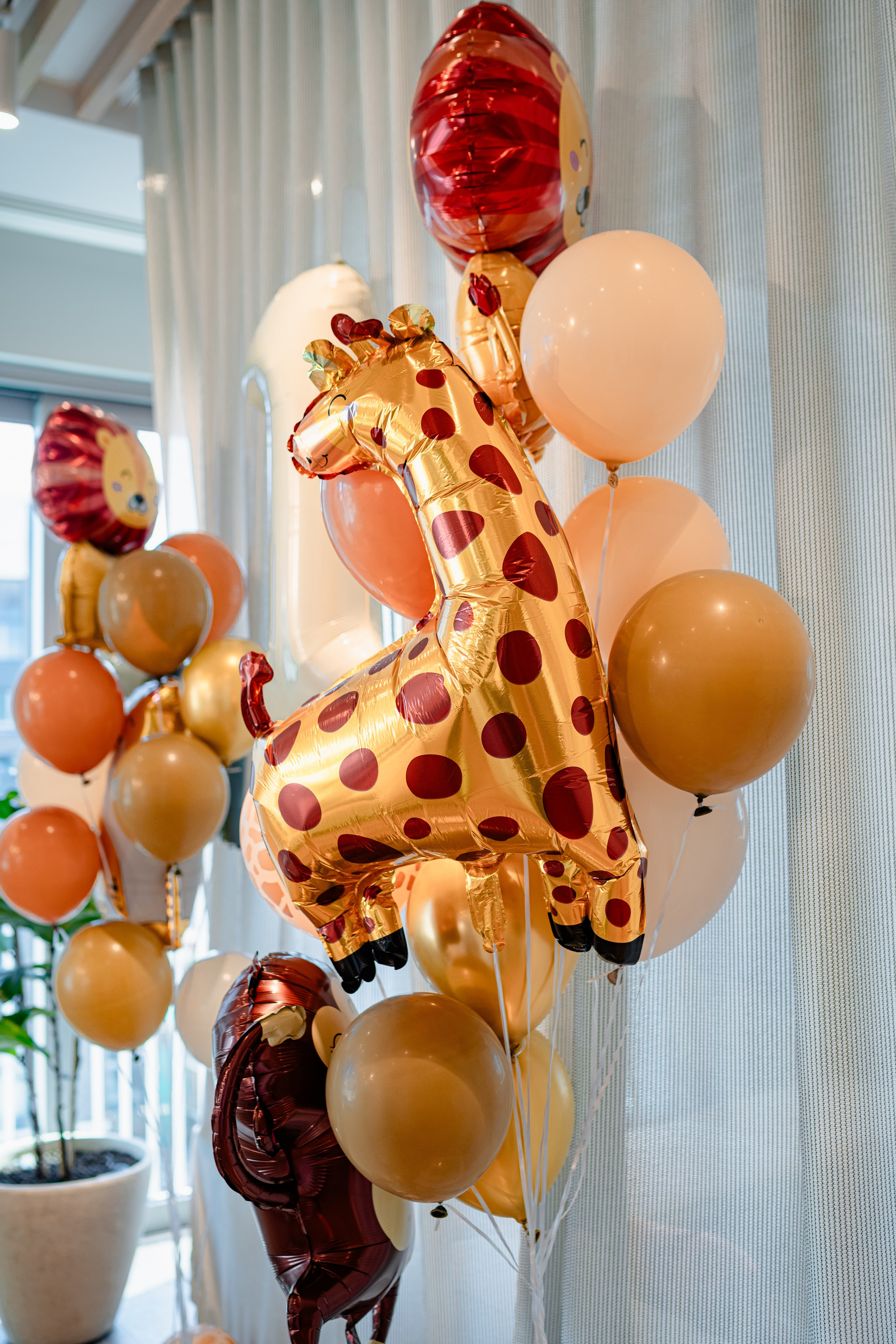 One year. Tonya Kyrylenko photographer in London