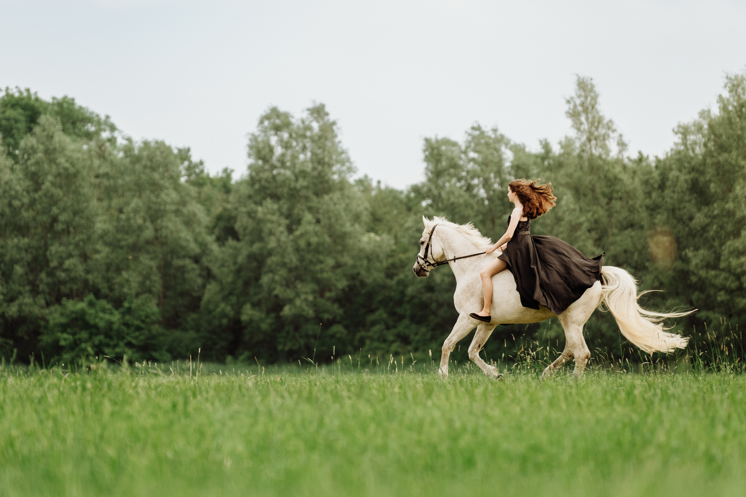 Pferdeshooting - Lara. Thorben Ihler - Dein Fotograf aus Emden