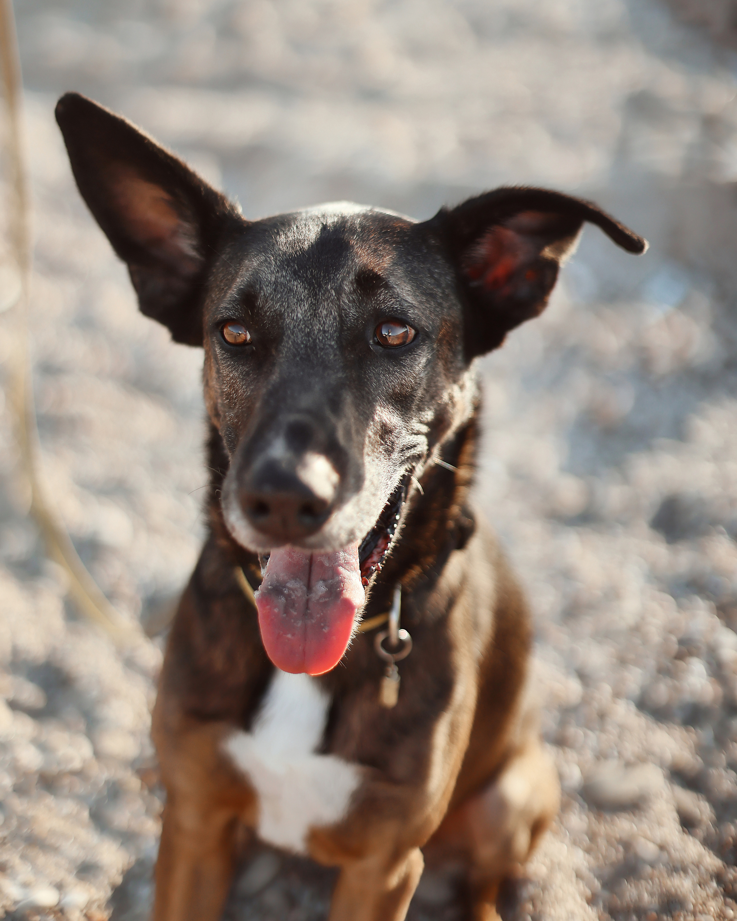Photoshoot in Ayia Napa. October, 2022. Kipriotka. Ваш фотограф на Кипре (Айя-Напа, Протарас)