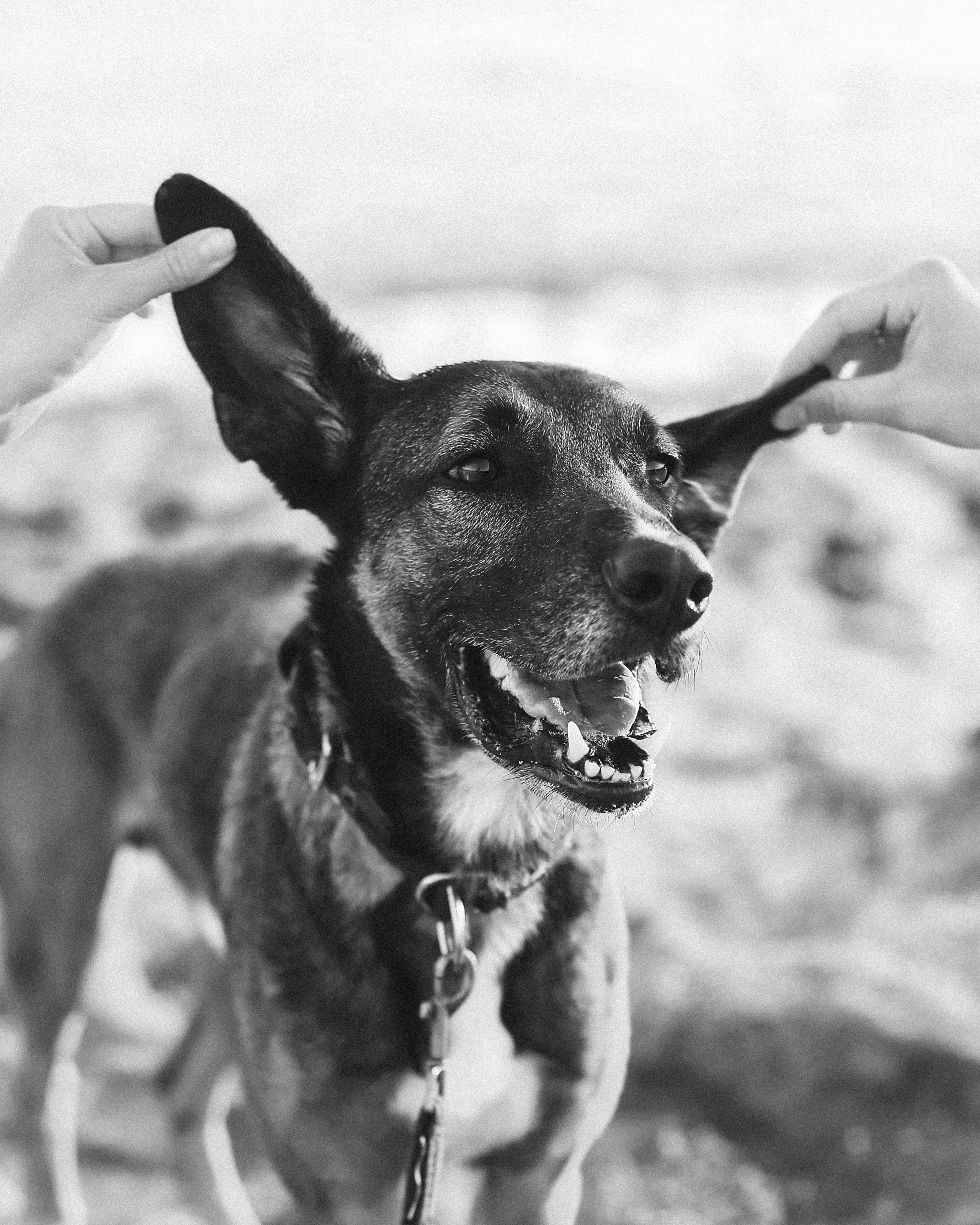 Photoshoot in Ayia Napa. October, 2022. Kipriotka. Ваш фотограф на Кипре (Айя-Напа, Протарас)