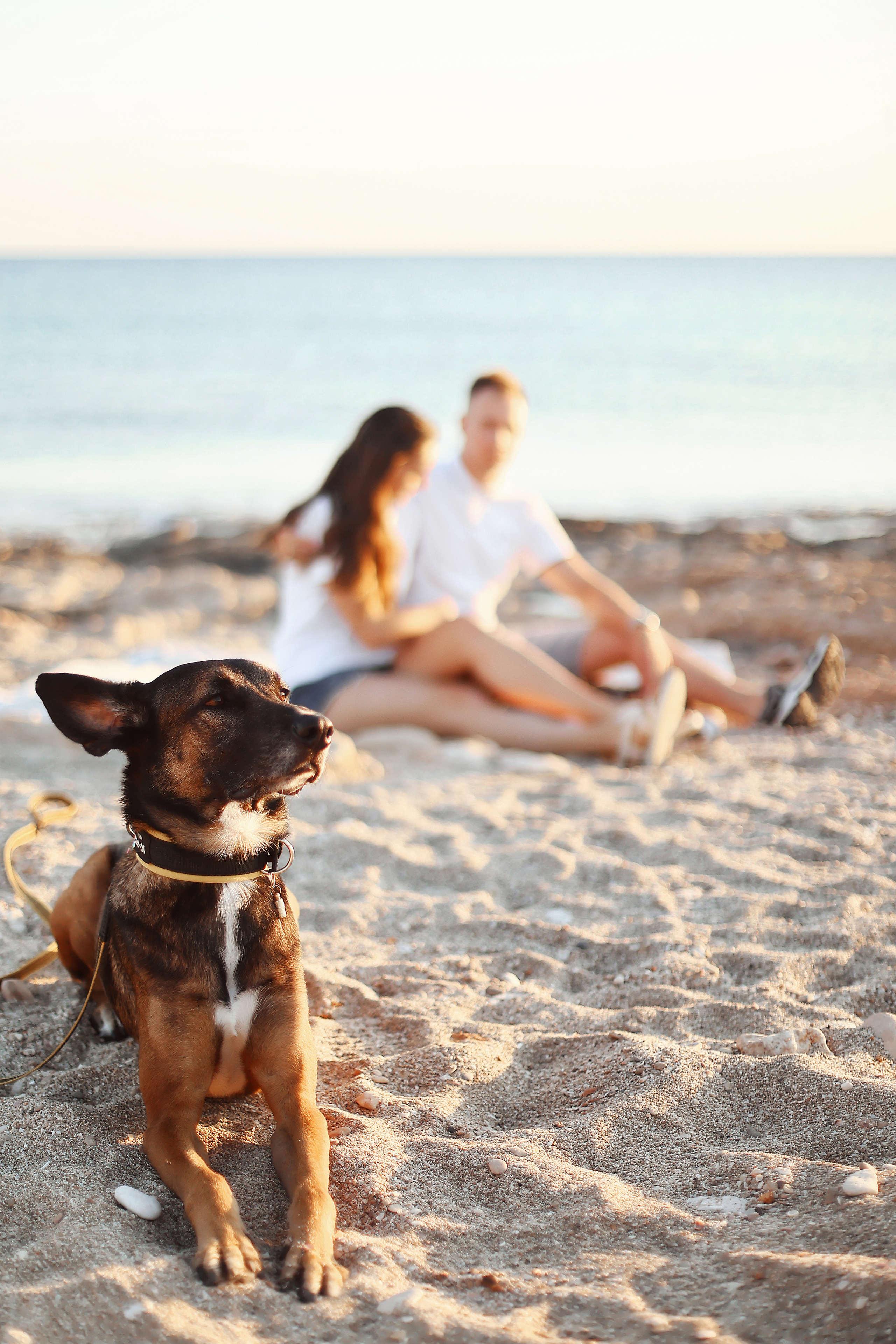 Photoshoot in Ayia Napa. October, 2022. Kipriotka. Ваш фотограф на Кипре (Айя-Напа, Протарас)