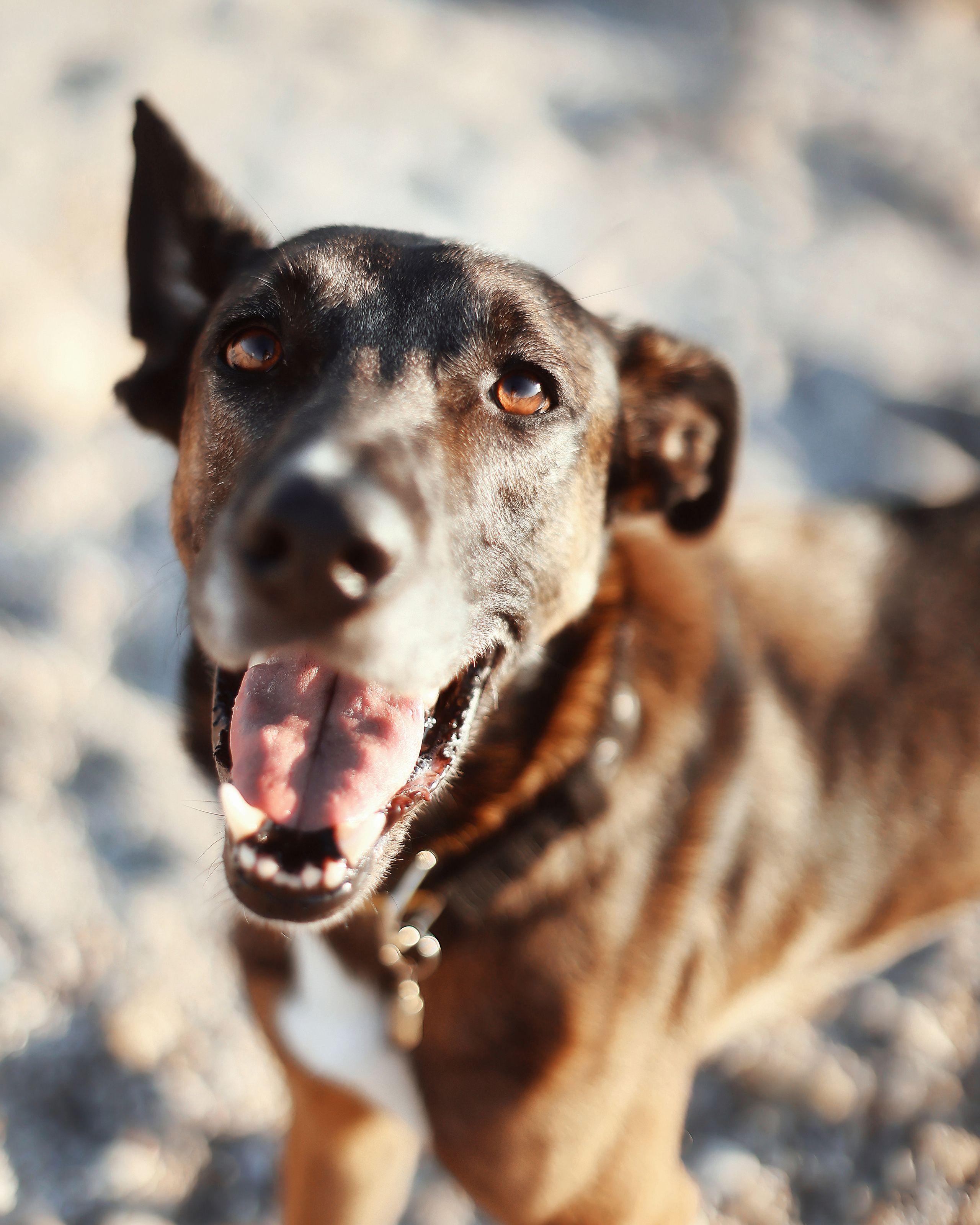 Photoshoot in Ayia Napa. October, 2022. Kipriotka. Ваш фотограф на Кипре (Айя-Напа, Протарас)