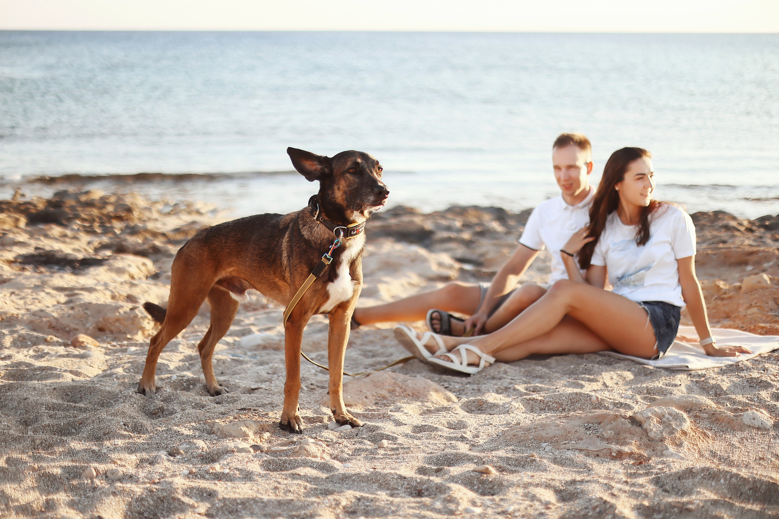 Photoshoot in Ayia Napa. October, 2022. Kipriotka. Ваш фотограф на Кипре (Айя-Напа, Протарас)