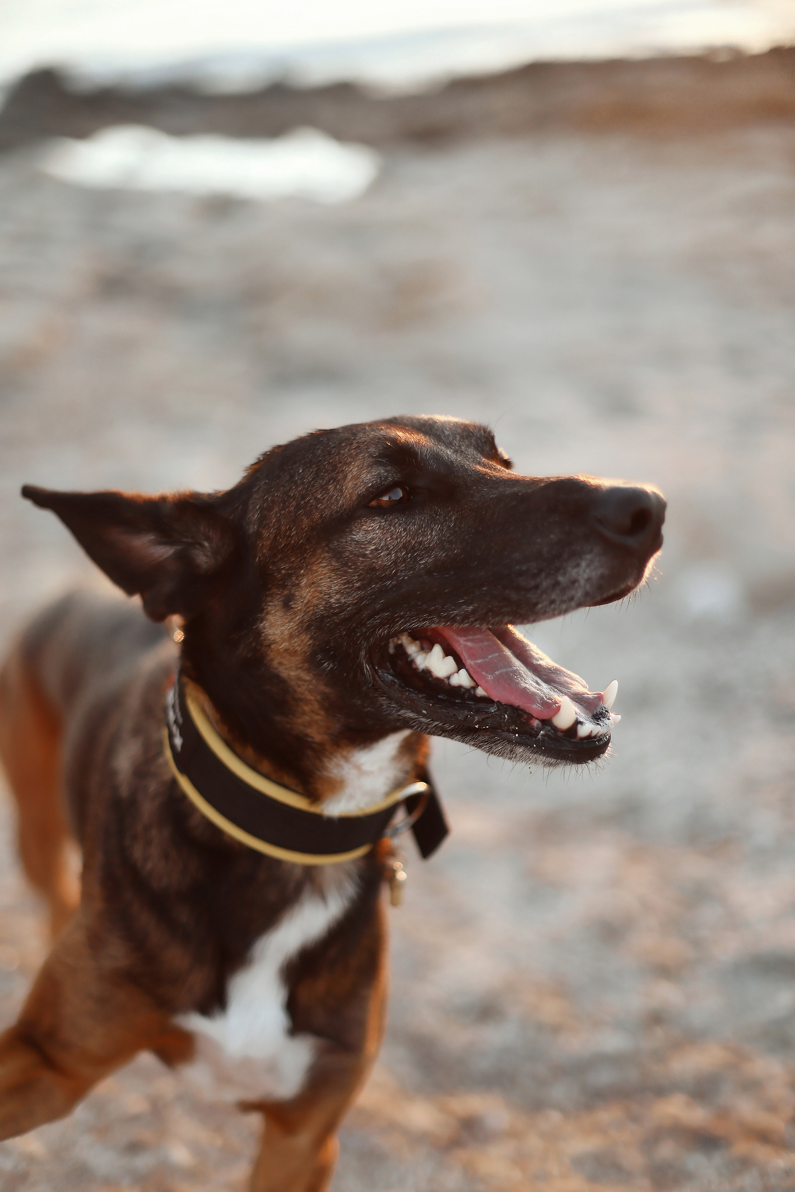 Photoshoot in Ayia Napa. October, 2022. Kipriotka. Ваш фотограф на Кипре (Айя-Напа, Протарас)