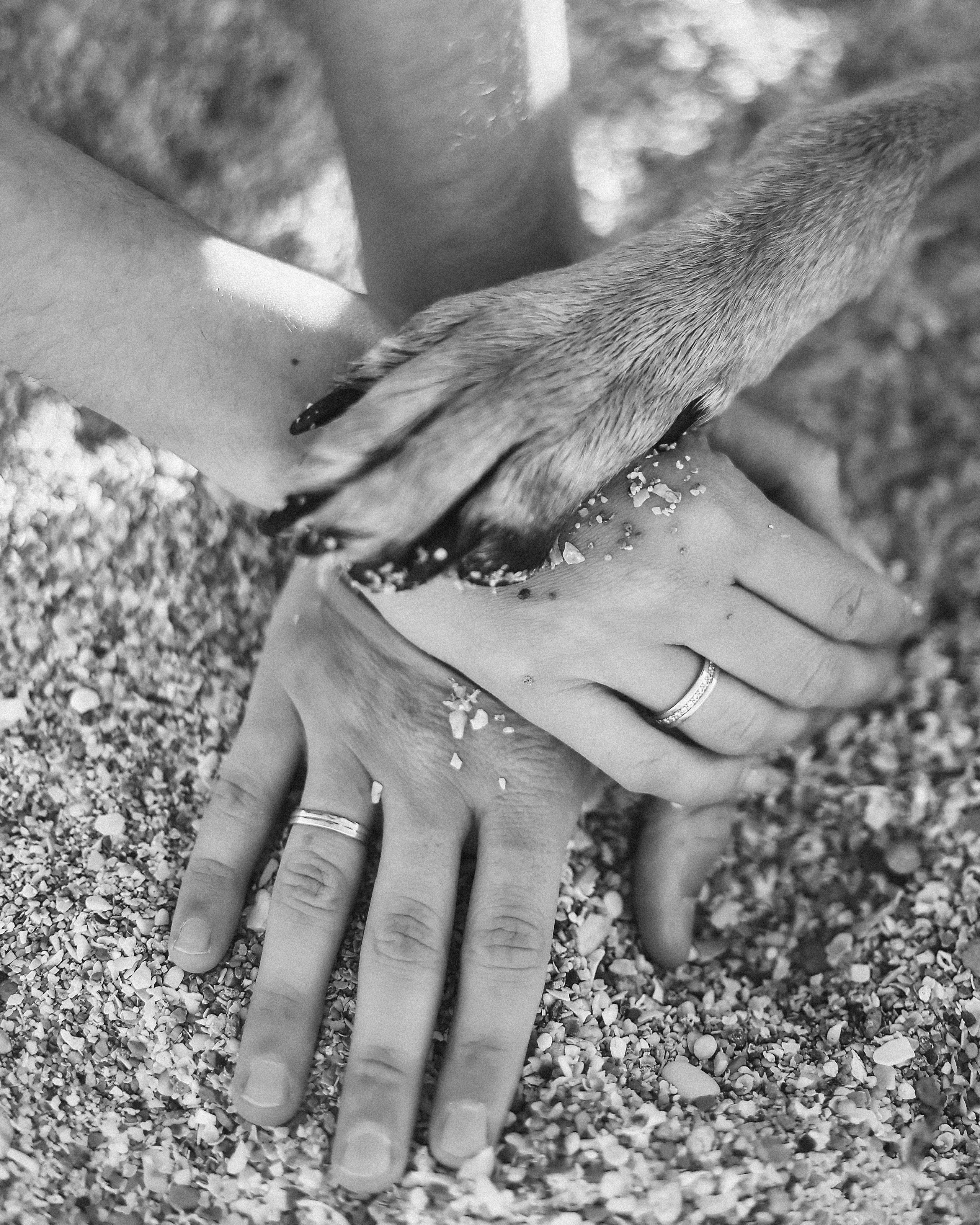 Photoshoot in Ayia Napa. October, 2022. Kipriotka. Ваш фотограф на Кипре (Айя-Напа, Протарас)