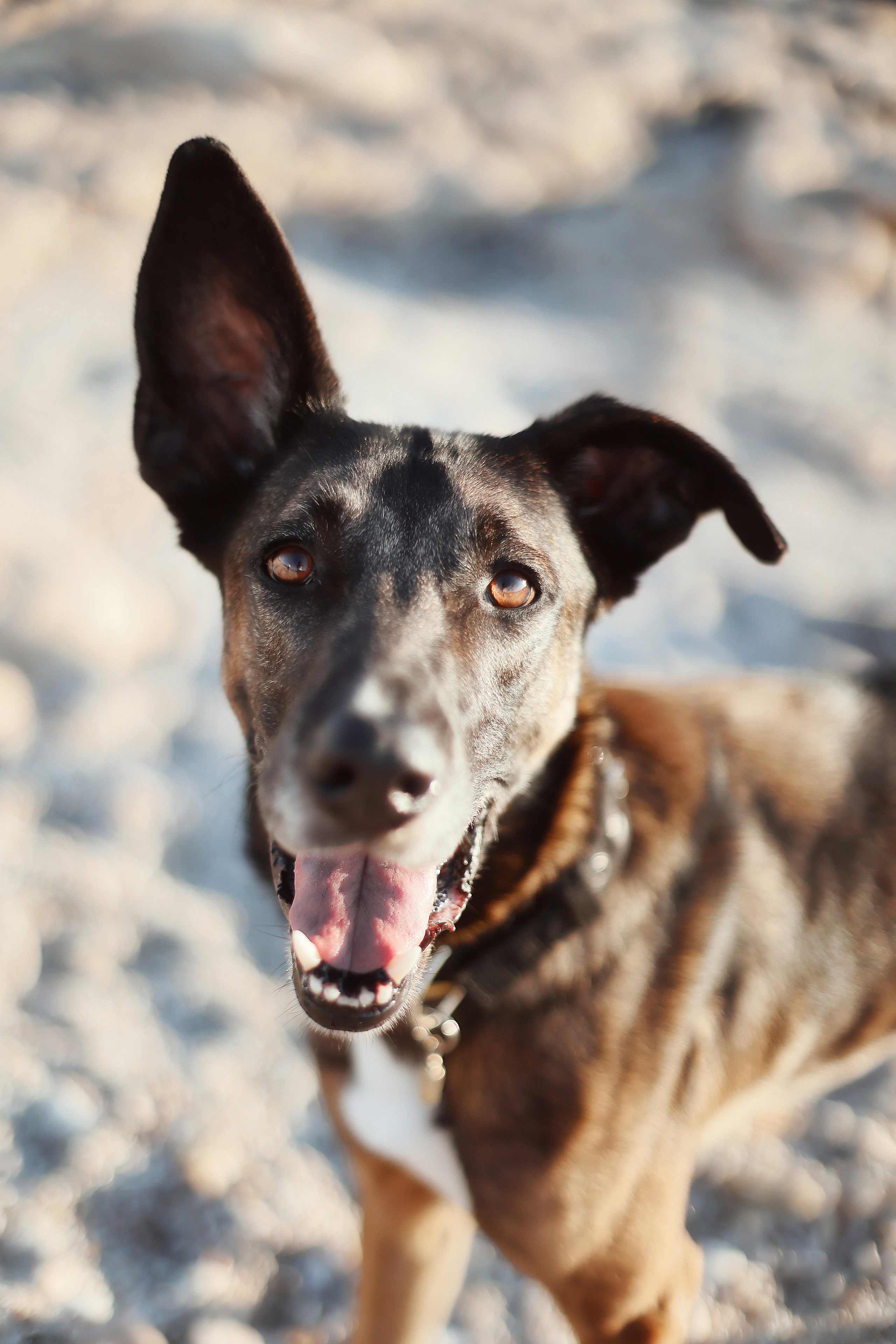 Photoshoot in Ayia Napa. October, 2022. Kipriotka. Ваш фотограф на Кипре (Айя-Напа, Протарас)