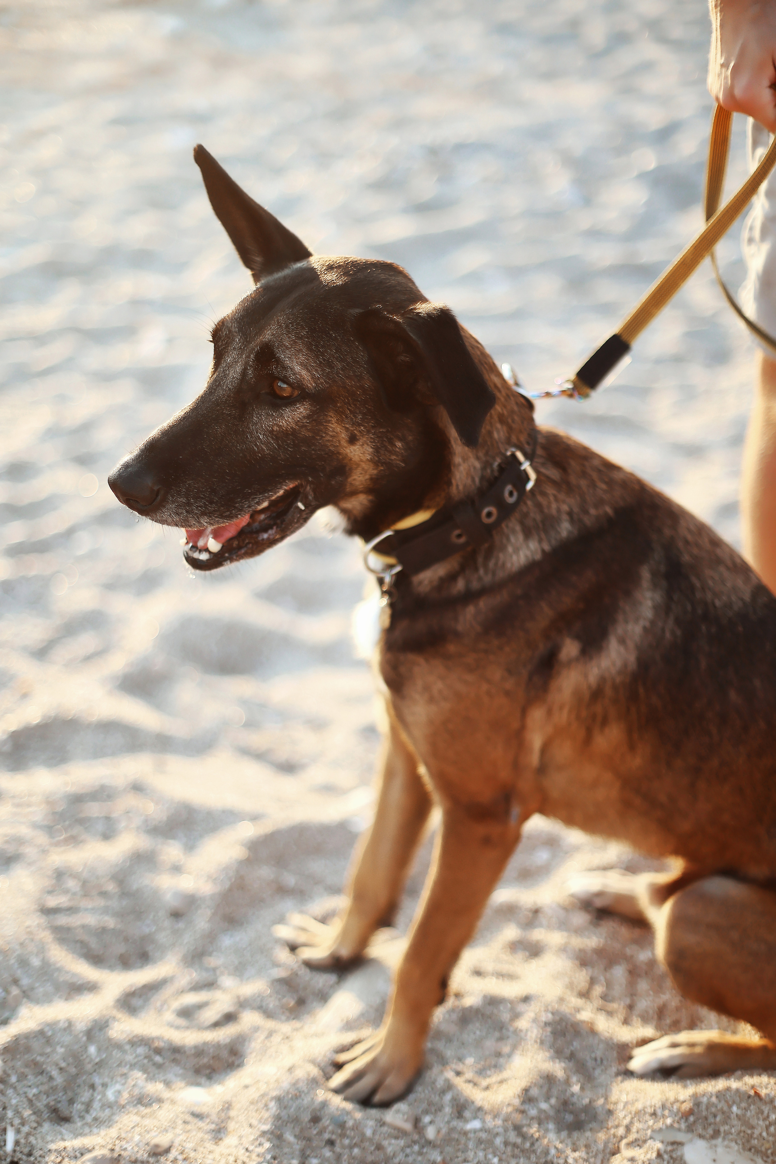 Photoshoot in Ayia Napa. October, 2022. Kipriotka. Ваш фотограф на Кипре (Айя-Напа, Протарас)