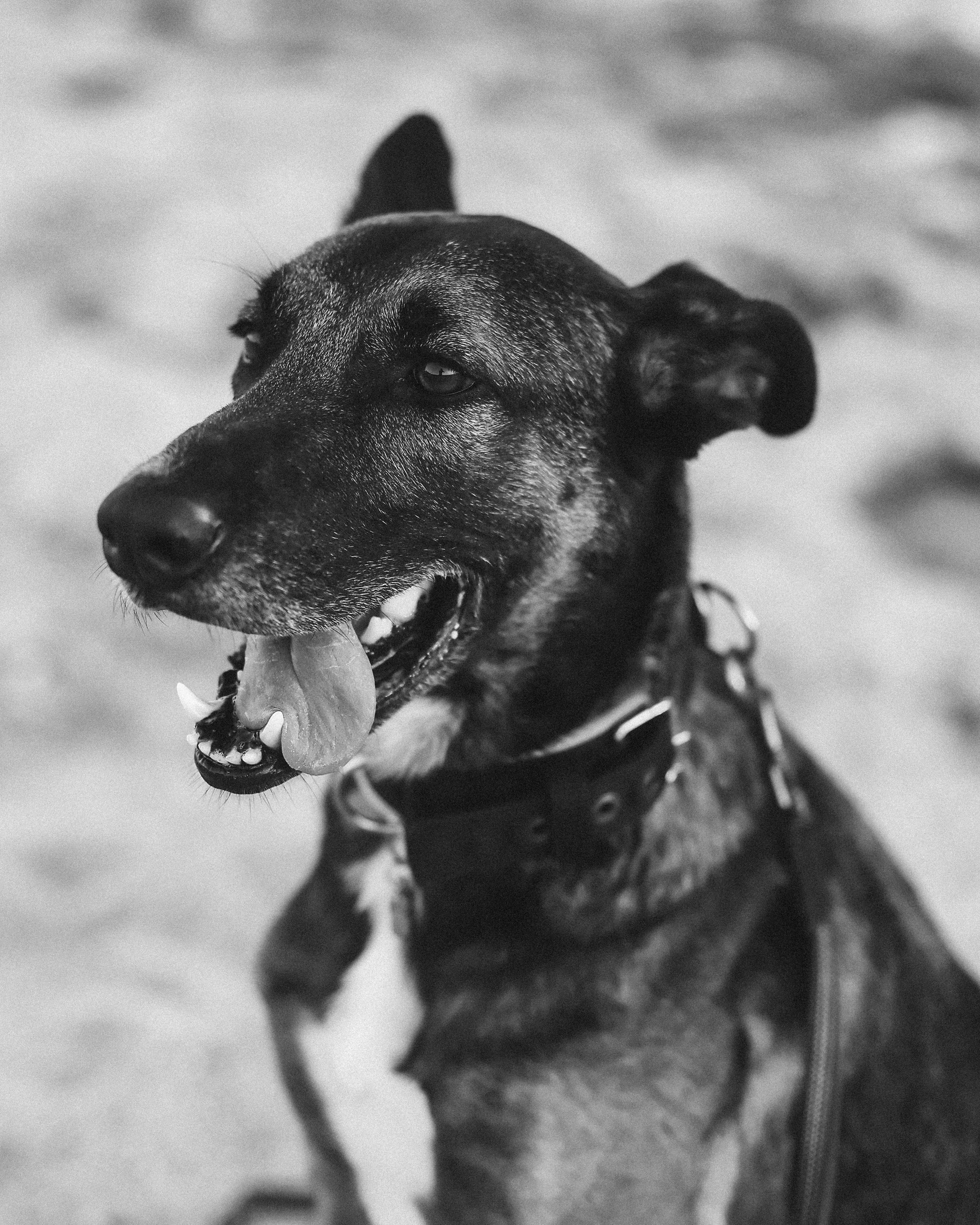 Photoshoot in Ayia Napa. October, 2022. Kipriotka. Ваш фотограф на Кипре (Айя-Напа, Протарас)