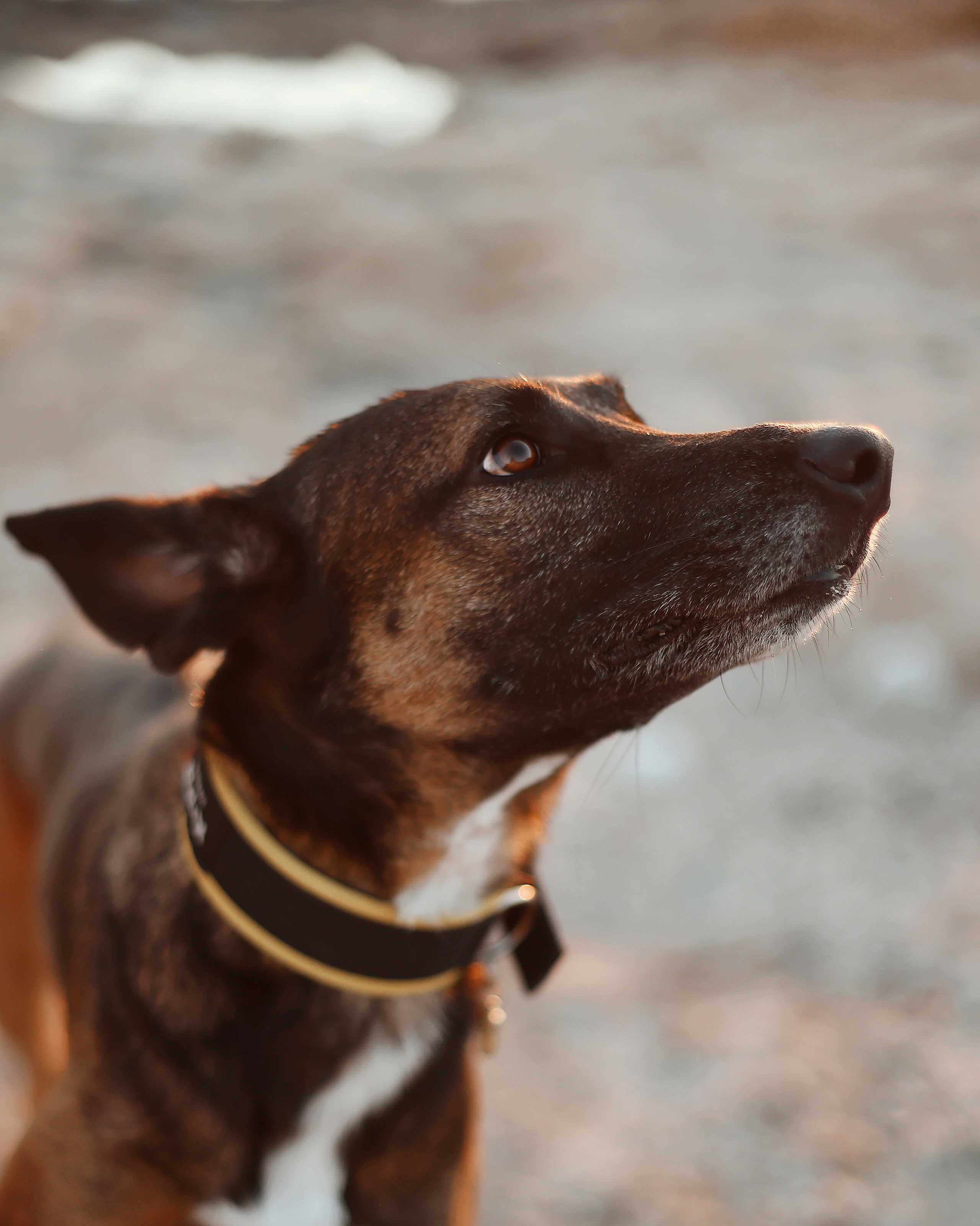 Photoshoot in Ayia Napa. October, 2022. Kipriotka. Ваш фотограф на Кипре (Айя-Напа, Протарас)