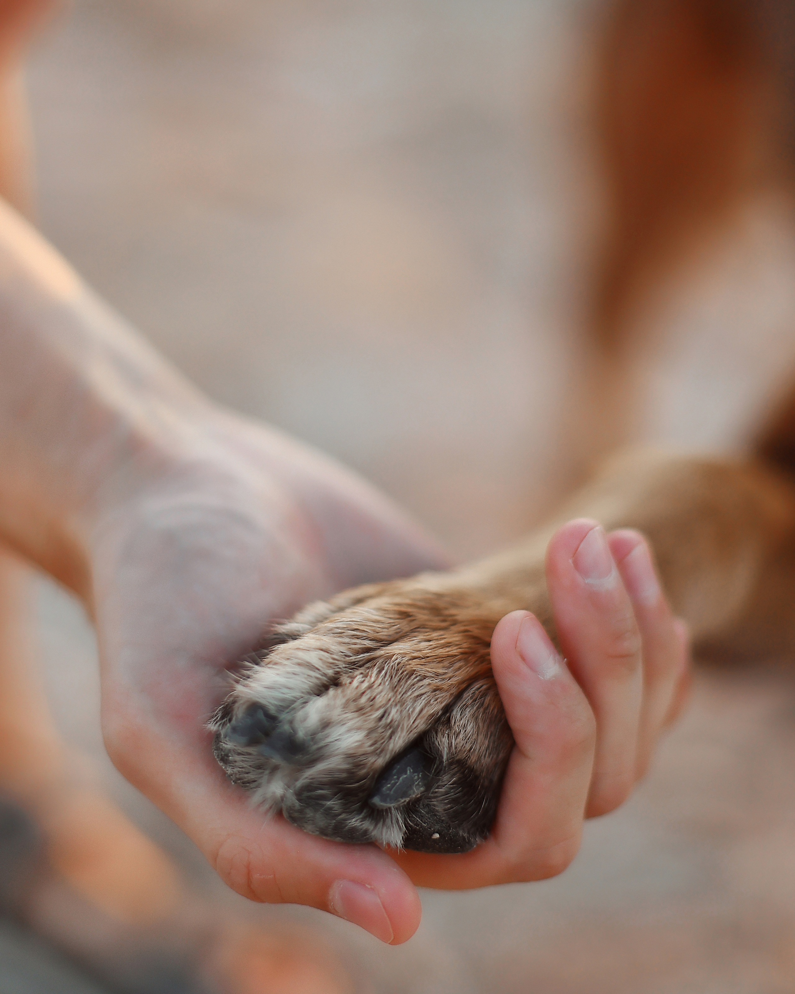 Photoshoot in Ayia Napa. October, 2022. Kipriotka. Ваш фотограф на Кипре (Айя-Напа, Протарас)