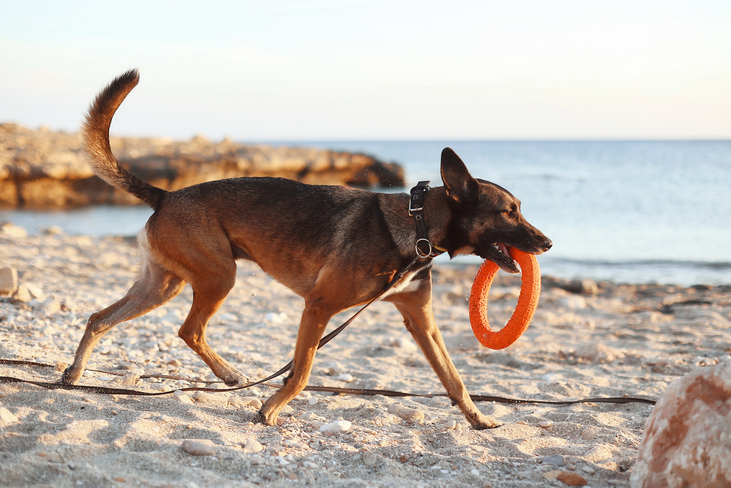 Photoshoot in Ayia Napa. October, 2022. Kipriotka. Ваш фотограф на Кипре (Айя-Напа, Протарас)