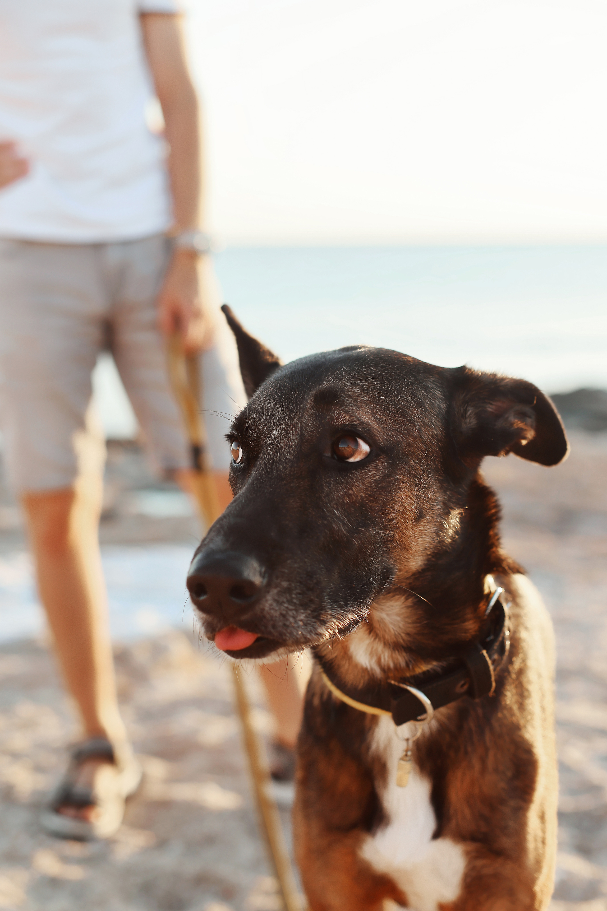 Photoshoot in Ayia Napa. October, 2022. Kipriotka. Ваш фотограф на Кипре (Айя-Напа, Протарас)