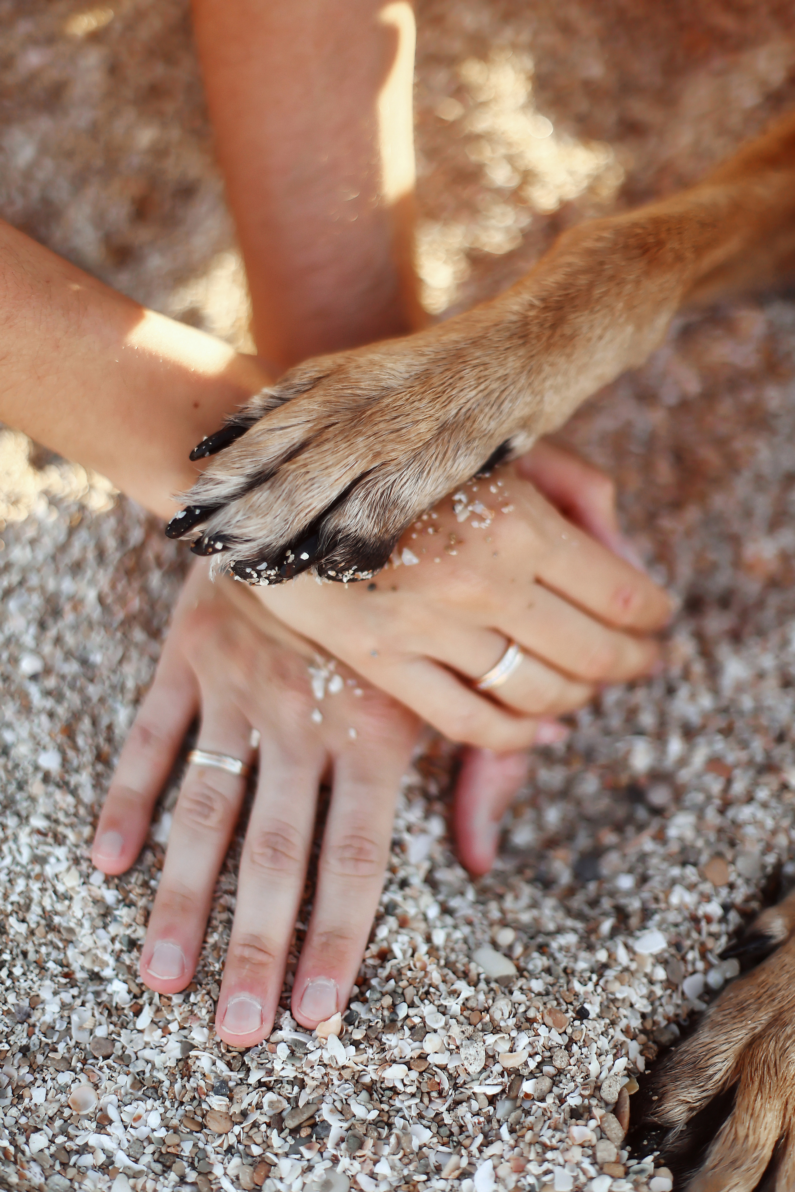 Photoshoot in Ayia Napa. October, 2022. Kipriotka. Ваш фотограф на Кипре (Айя-Напа, Протарас)