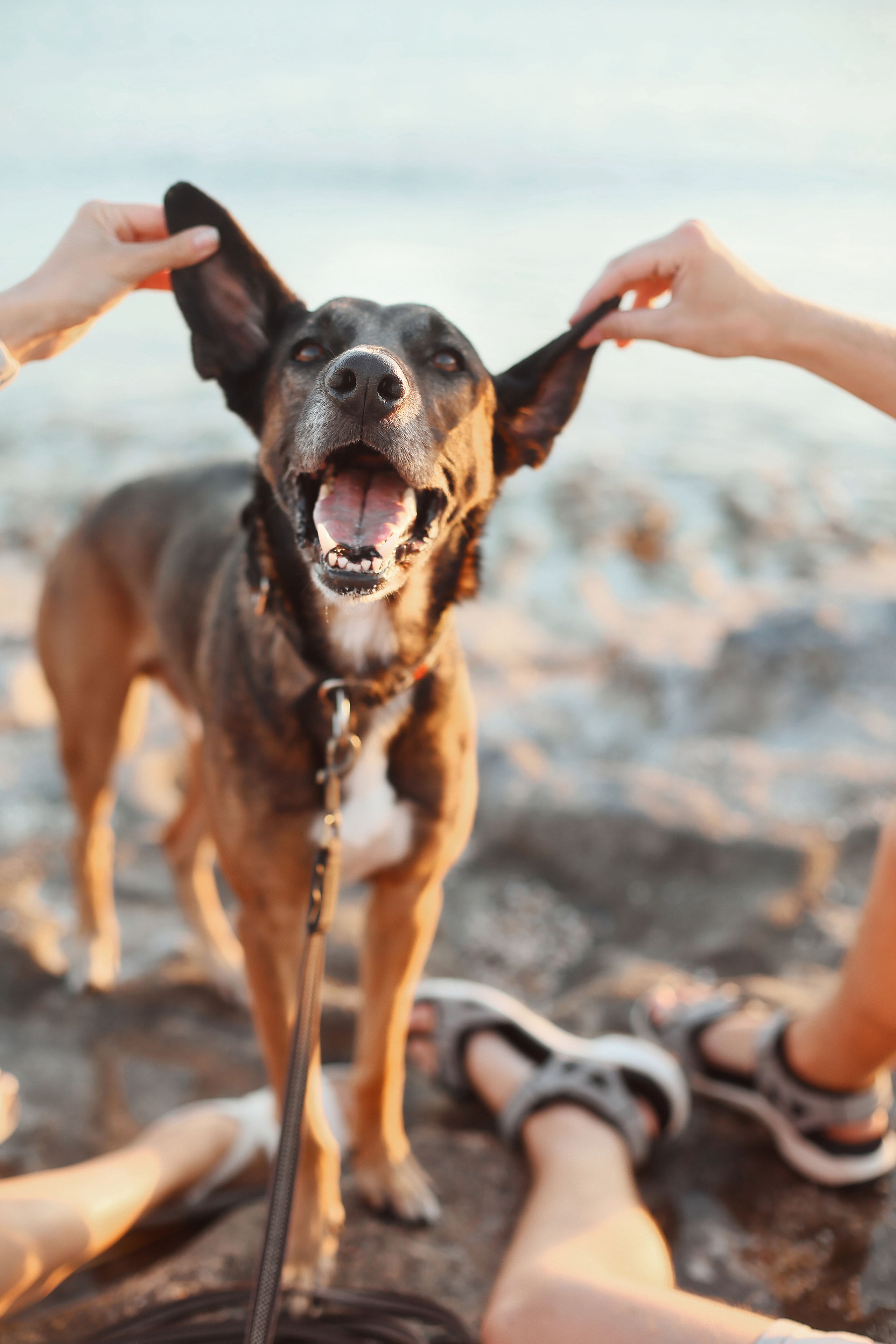 Photoshoot in Ayia Napa. October, 2022. Kipriotka. Ваш фотограф на Кипре (Айя-Напа, Протарас)