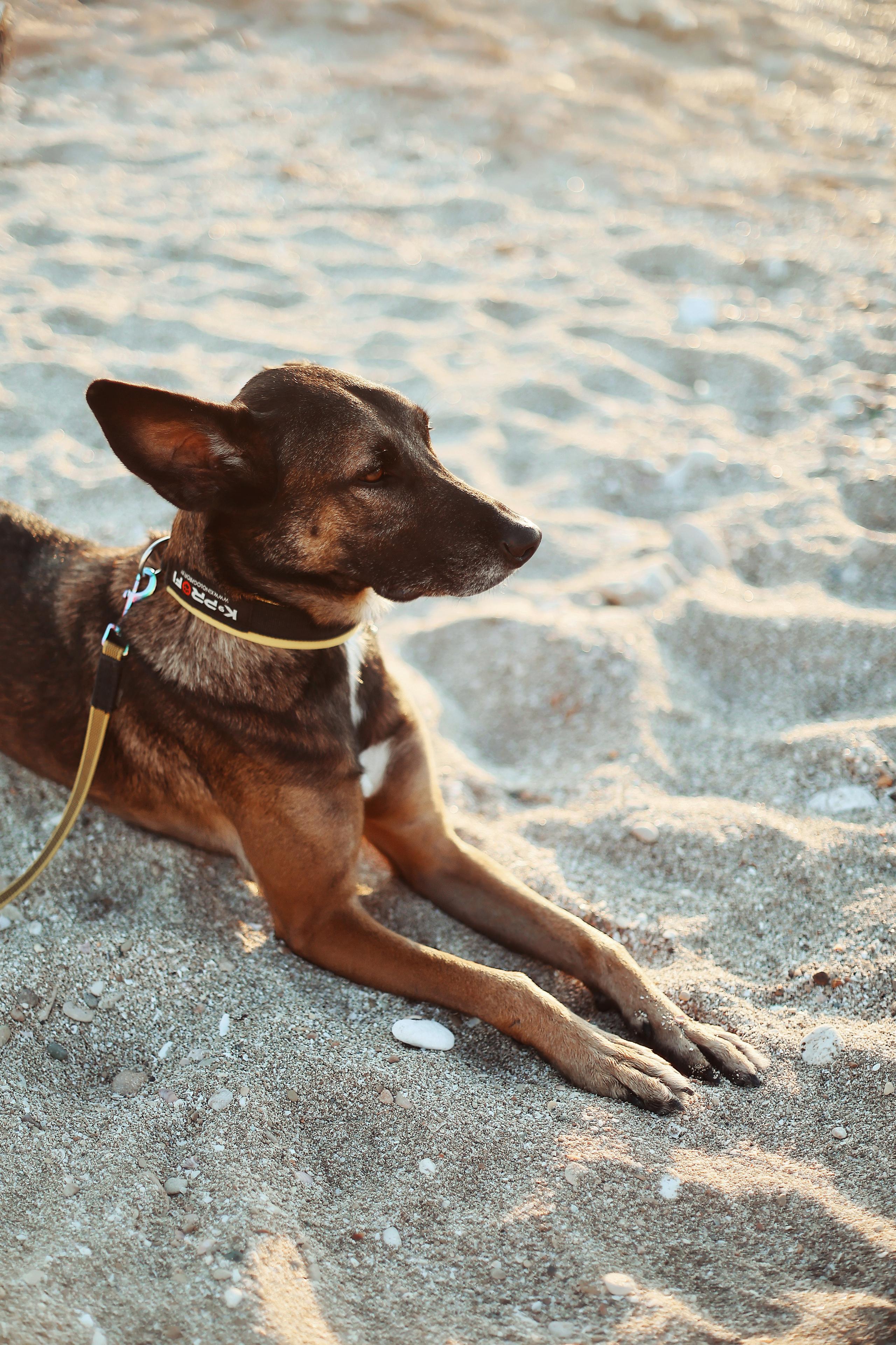 Photoshoot in Ayia Napa. October, 2022. Kipriotka. Ваш фотограф на Кипре (Айя-Напа, Протарас)