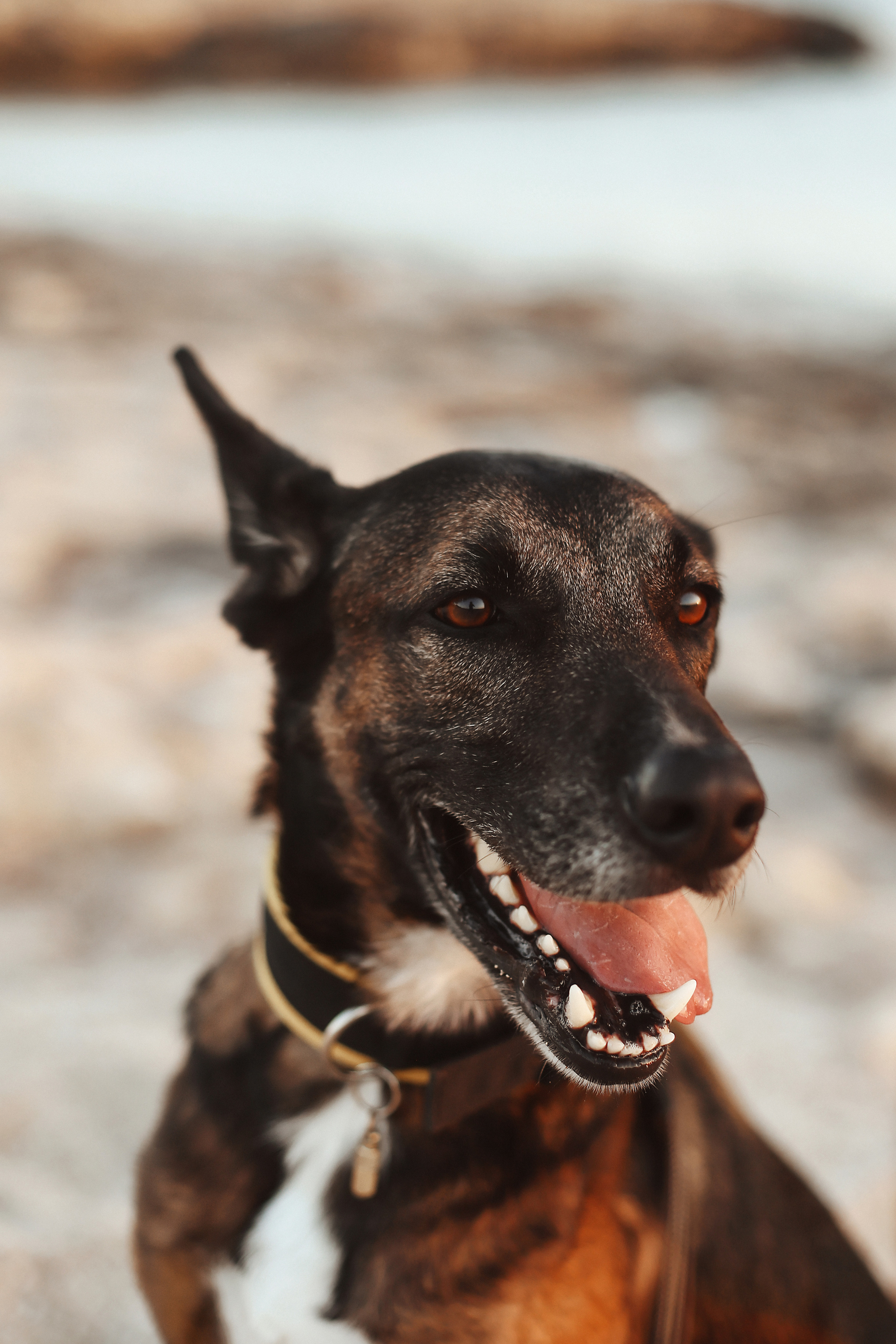 Photoshoot in Ayia Napa. October, 2022. Kipriotka. Ваш фотограф на Кипре (Айя-Напа, Протарас)