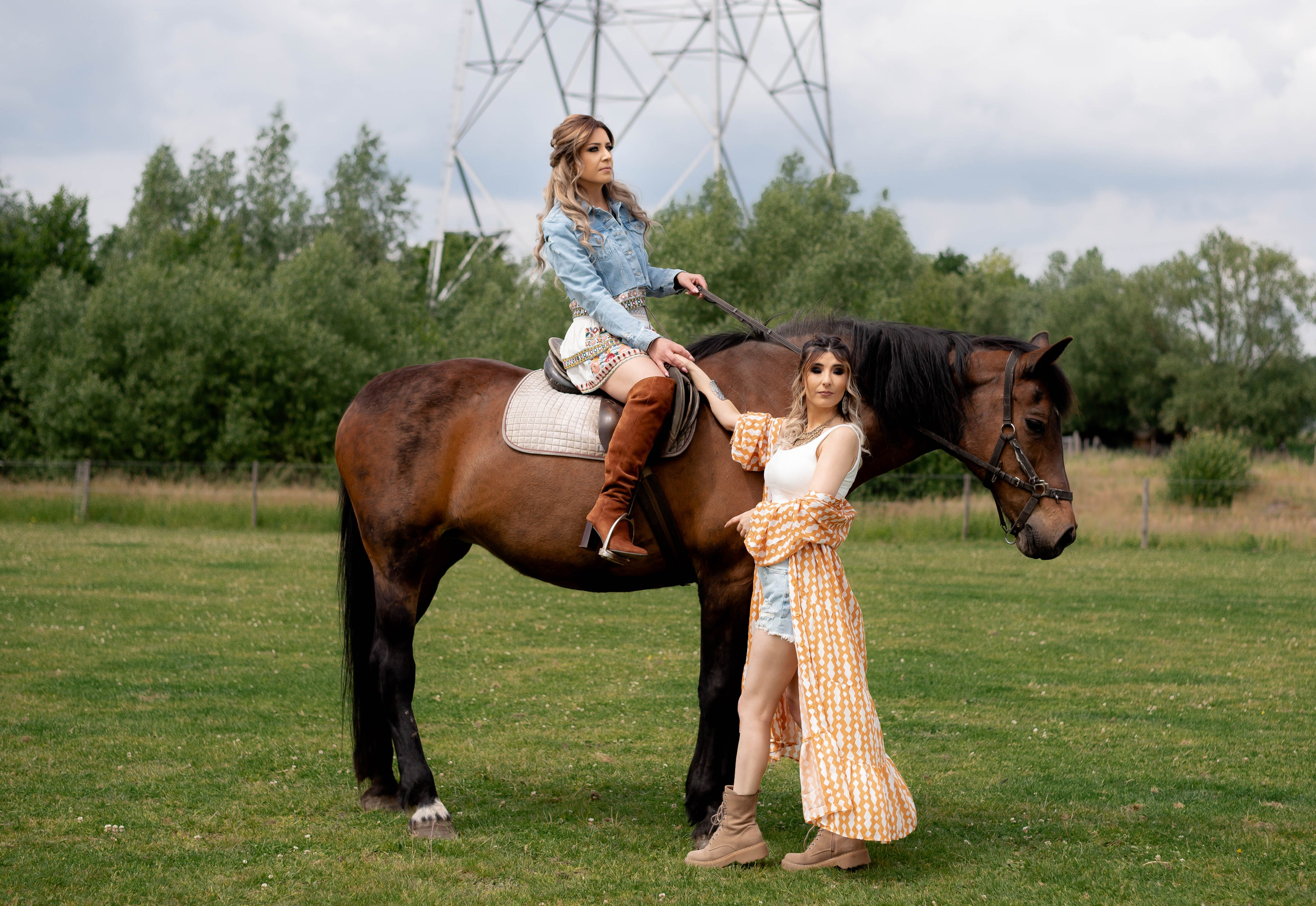 Photoshoot with Horses. Professional Photograher, Antwerpen/Belgium