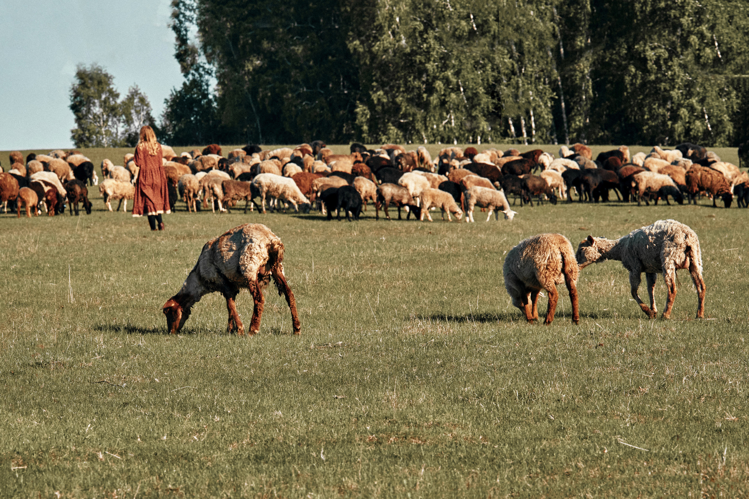 Una mañana. Tatiana. Fotógrafa en España Zhanna Zakharchenko