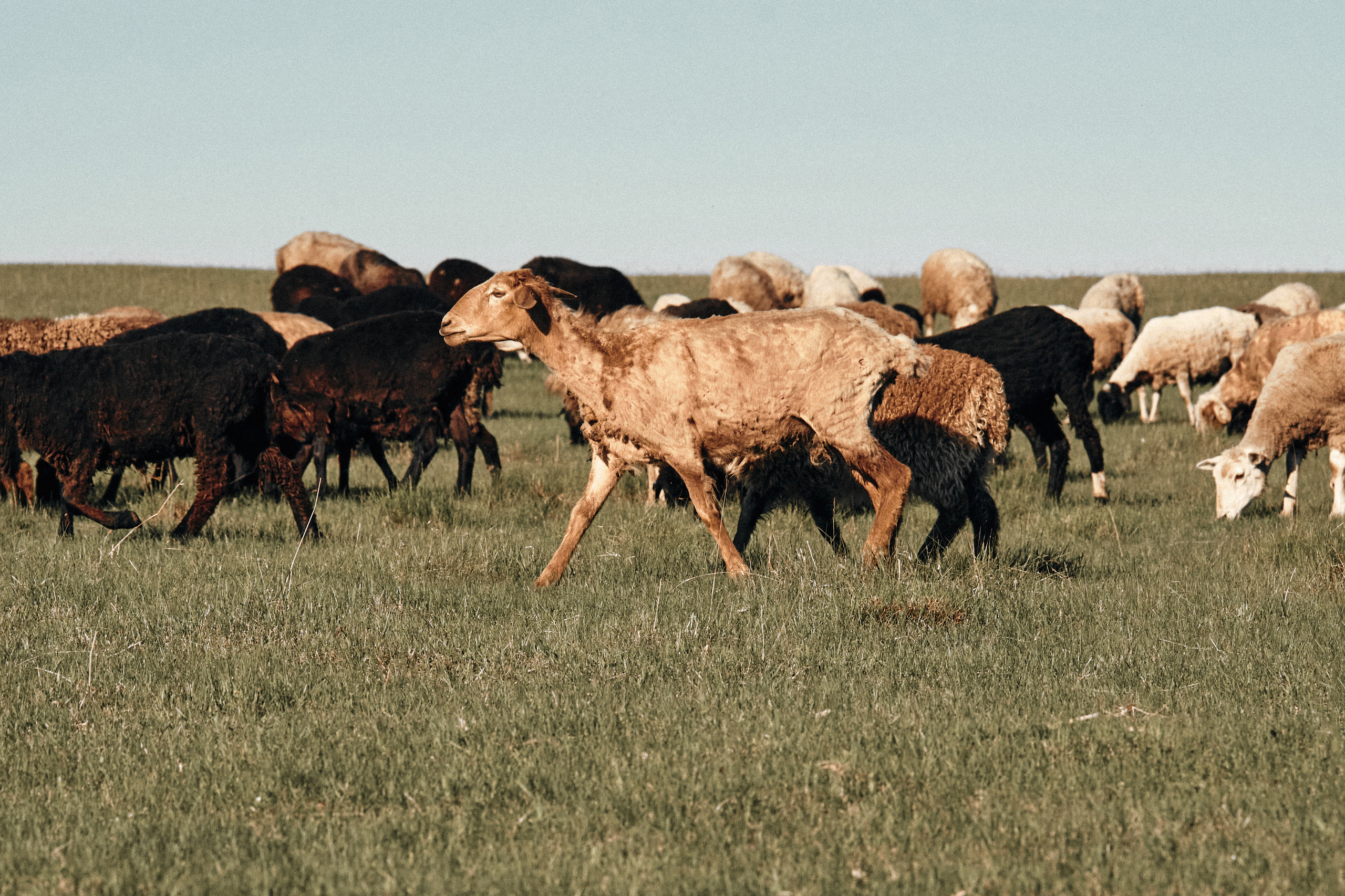 Una mañana. Tatiana. Fotógrafa en España Zhanna Zakharchenko