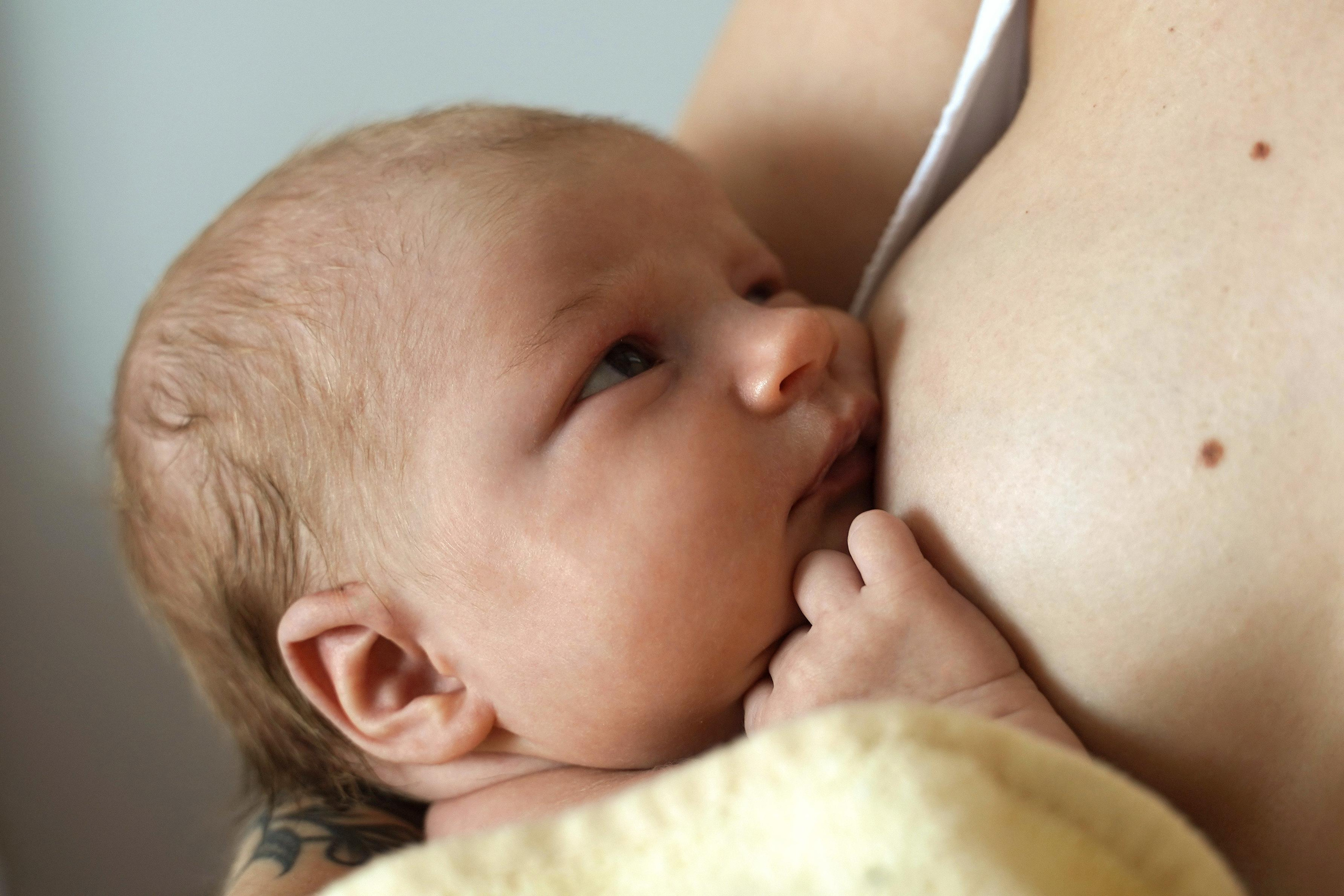 Первый месяц дома. Фотограф в Барселоне Жанна Захарченко